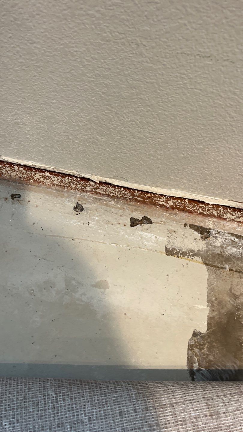 Mold Remediation  by Accountable Home Services