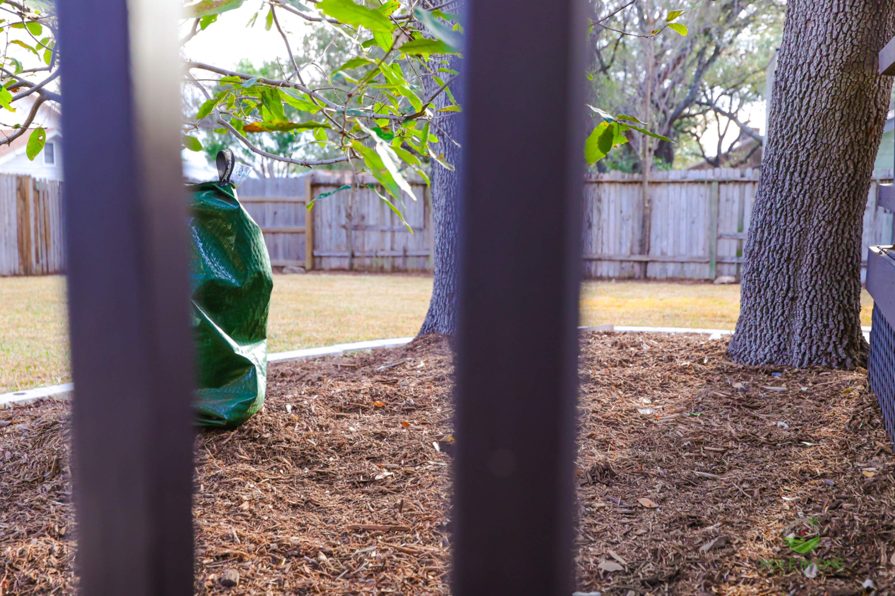 Green Spring Valley, San Antonio Tx. by Hole In One Lawns, LLC