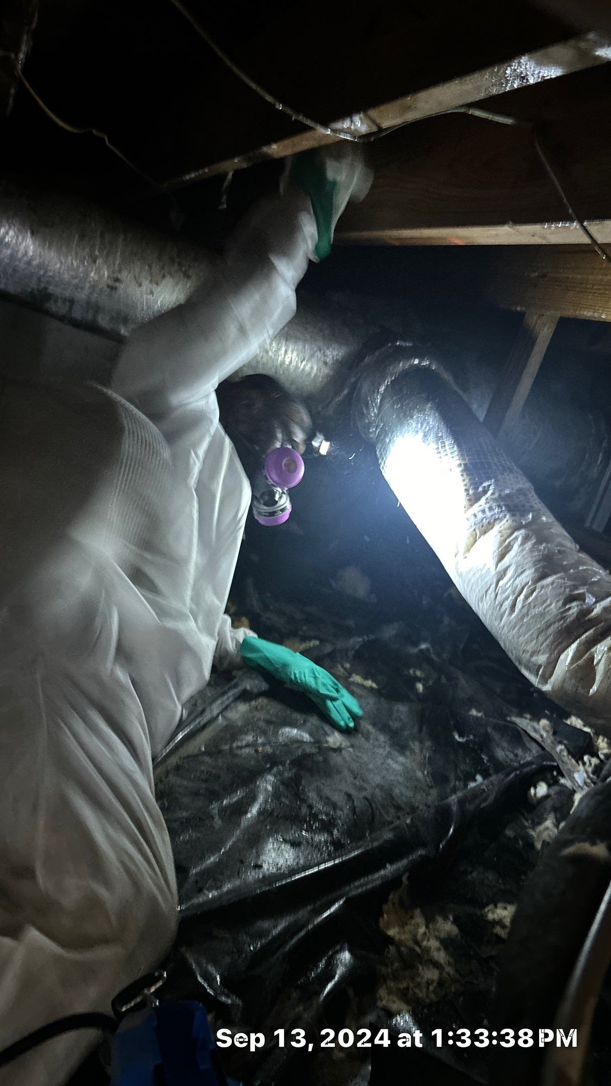 Limited Mold Remediation by EAS Environmental, LLC.