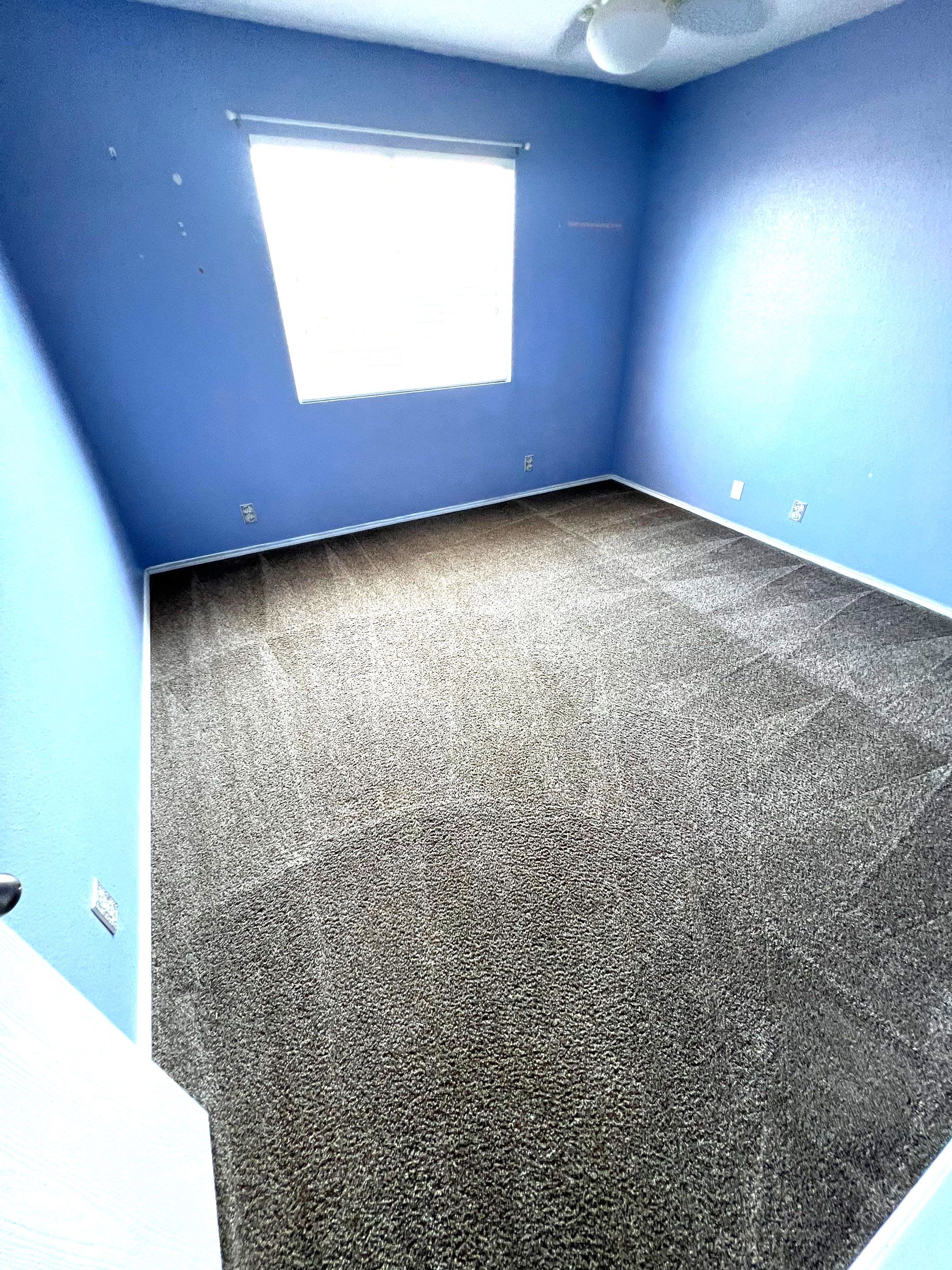 the service being done is carpet cleaning in a room with a blue wall and a clear window