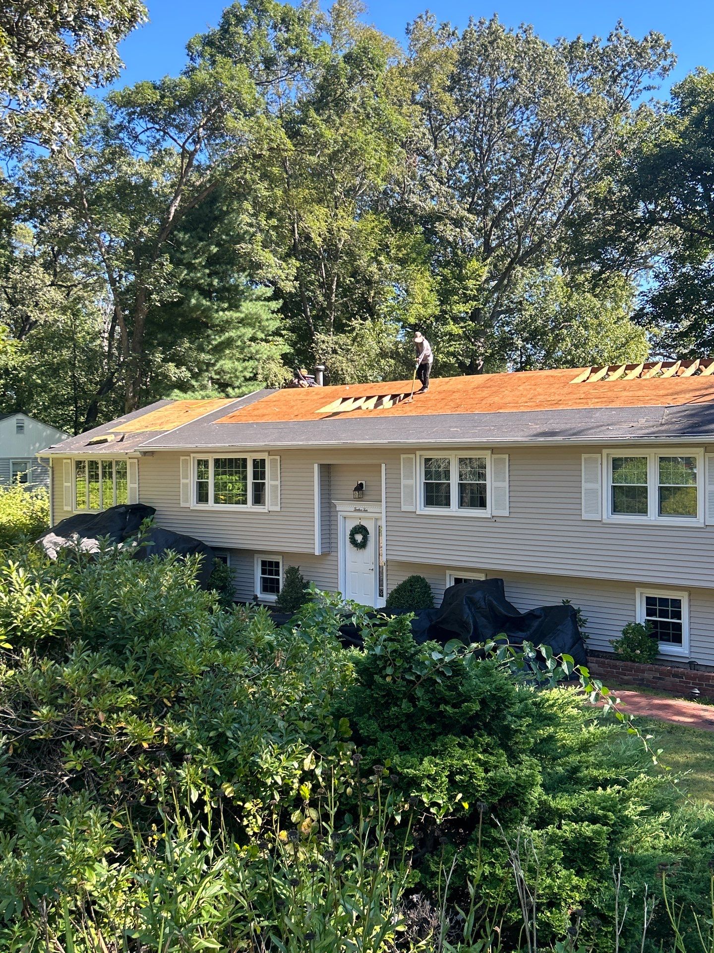 Cheshire by All site builders LLC