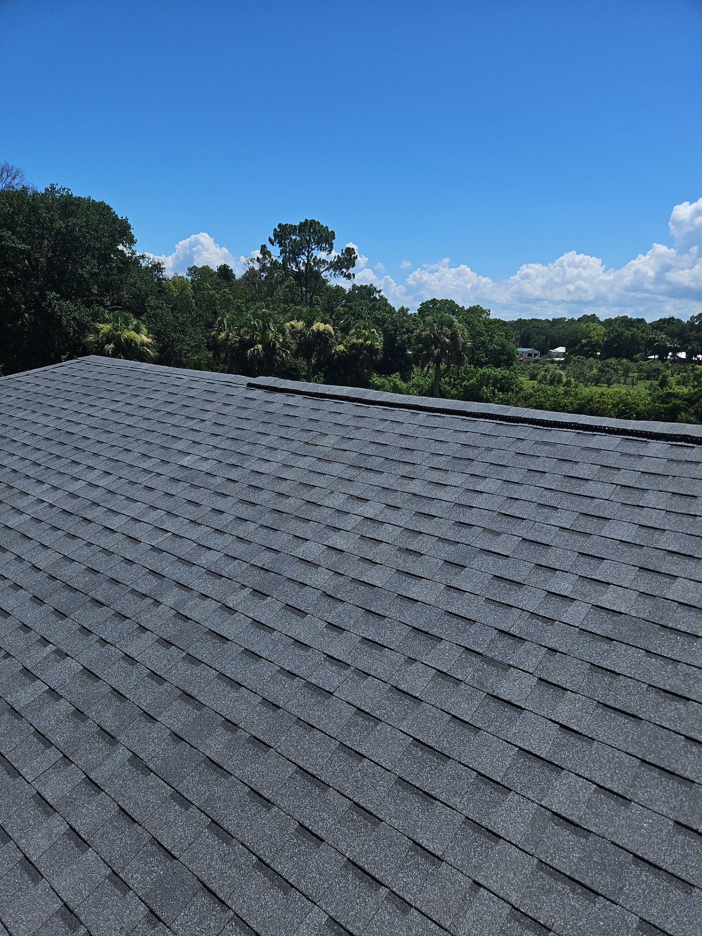 Shingle Reroof Replacement Oak Hill FL by Pinnacle Roofing Group