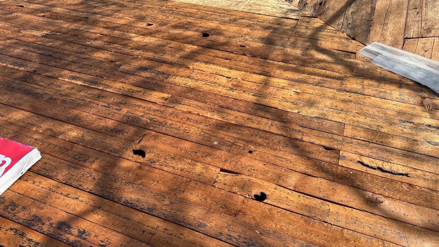 Willa Holmstock by NuLead Construction Inc