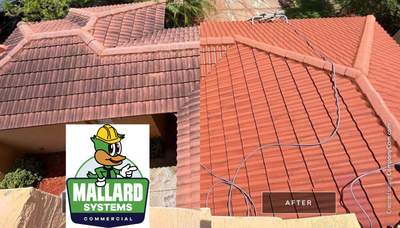 Tile Roof Cleaning in Kissimmee