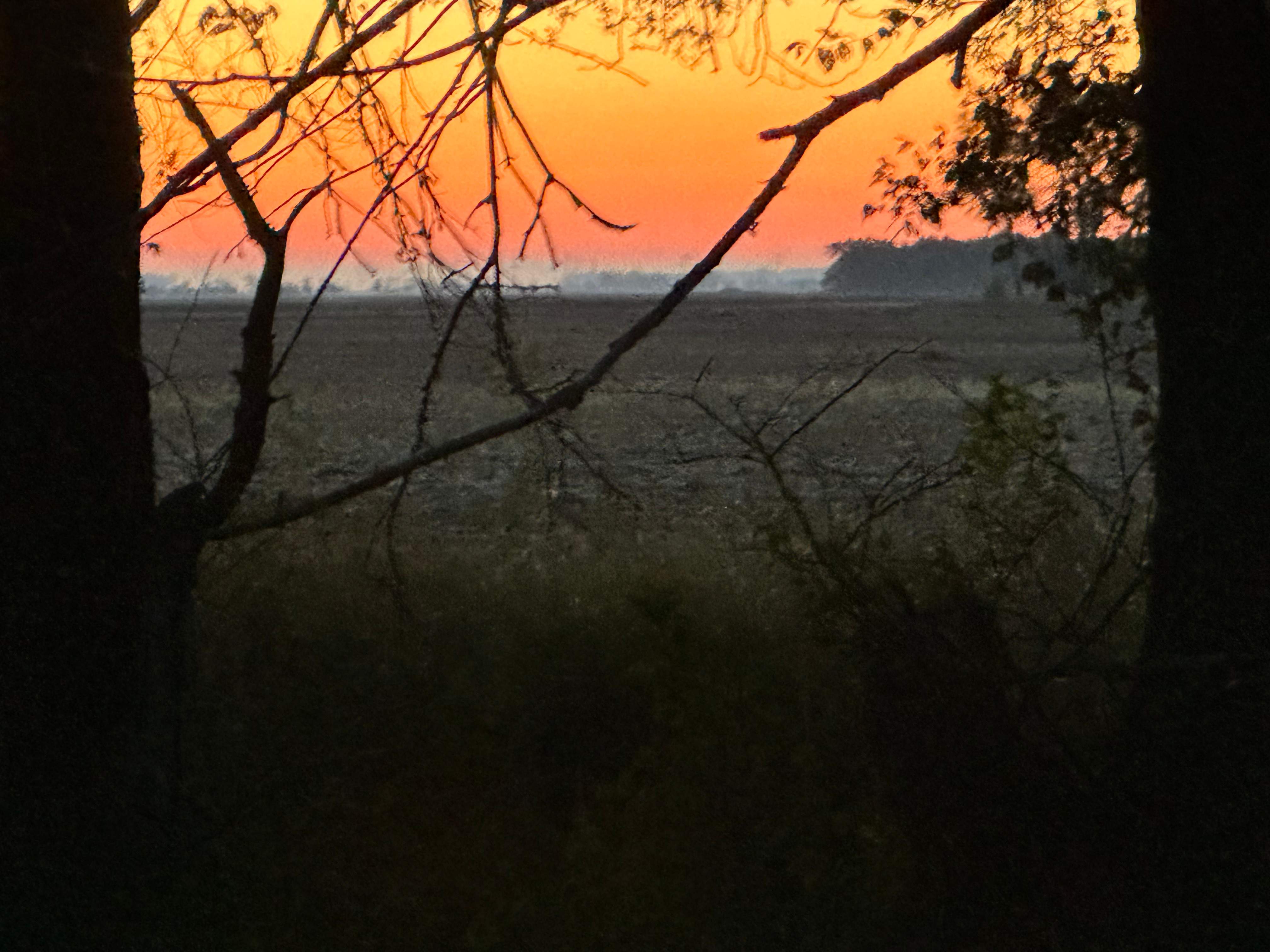 BeeGirl's Honey House in the Midwest by Rockwall Honey Bee Company