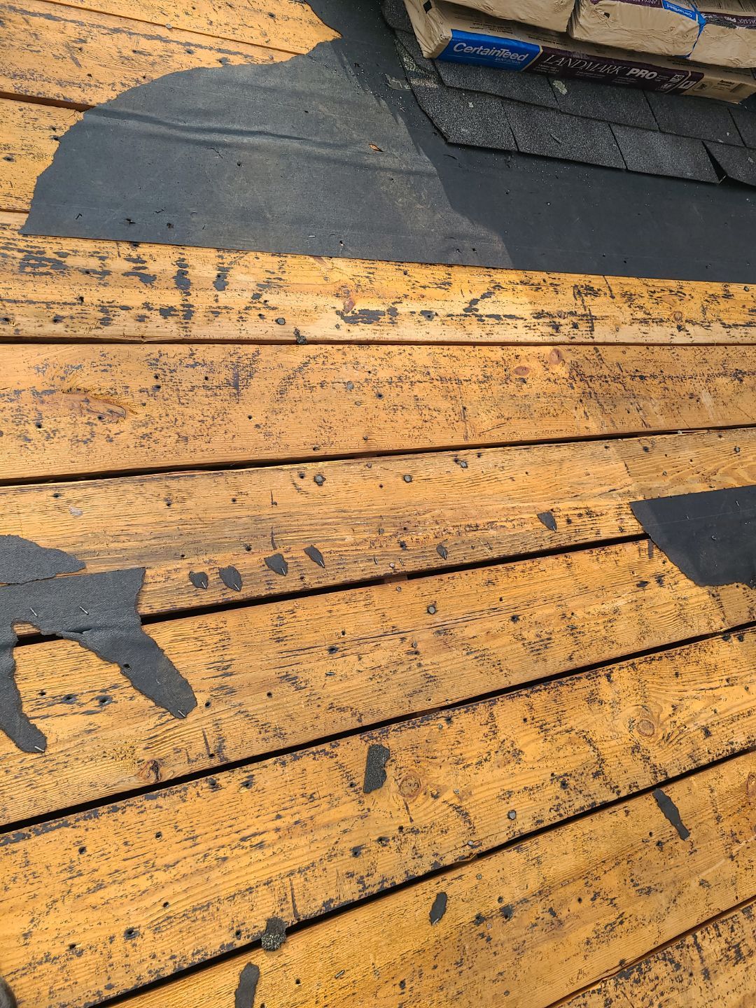 Alexandria CertainTeed Landmark Pro Roof in Max Def Charcoal Black by RM Banning, Inc.