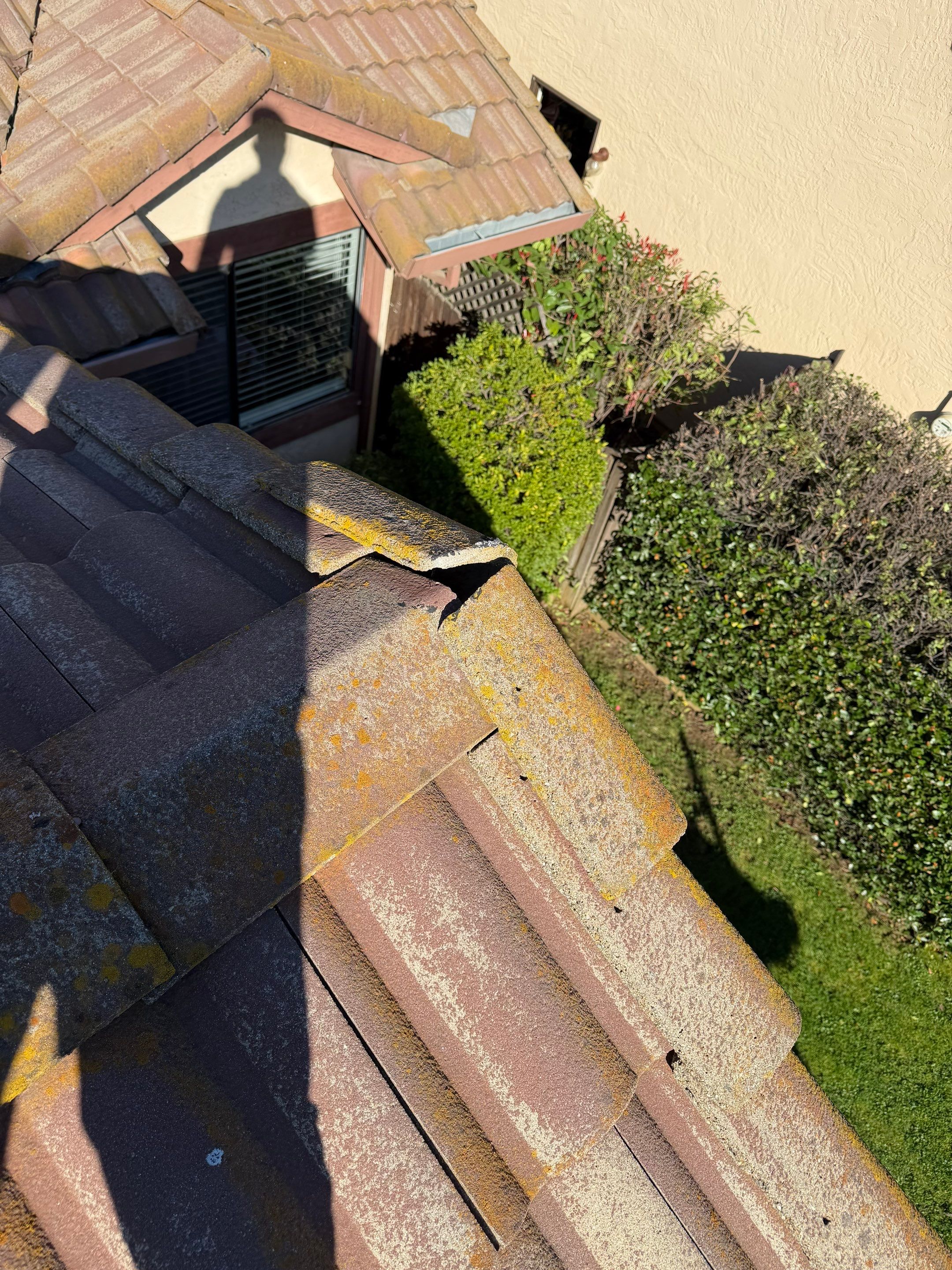 Project in Citrus Heights  by NuLead Construction Inc