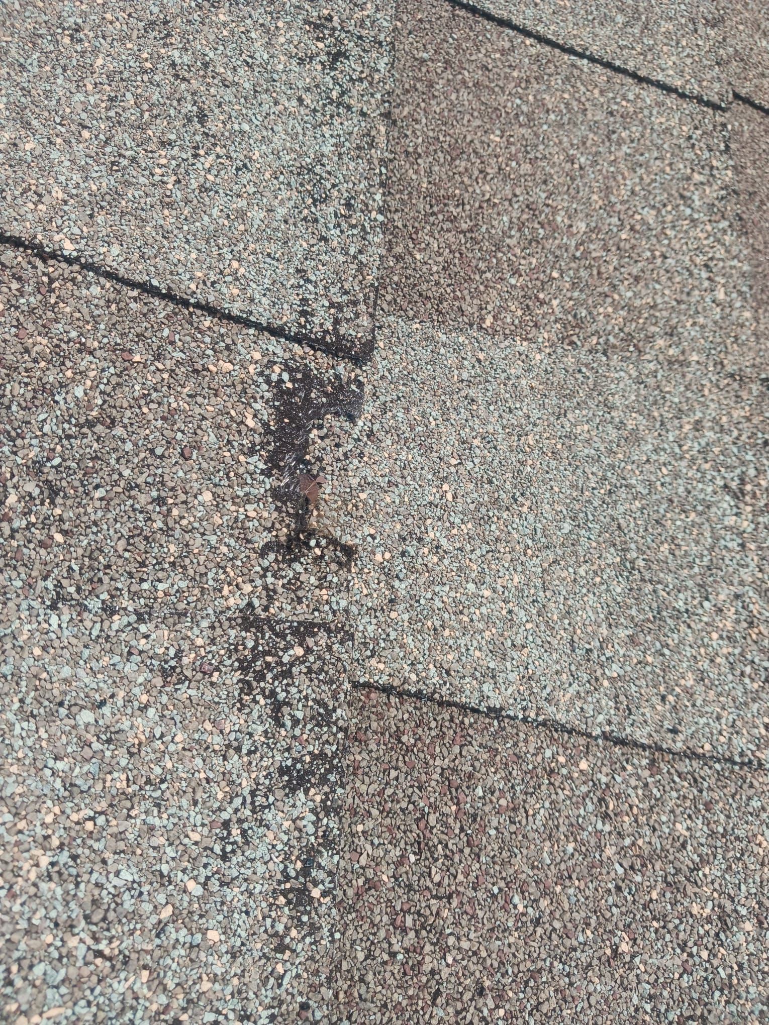 Hail Damage using Owen's Corning Duration (Lifetime) Shingles by Roof Repair Company