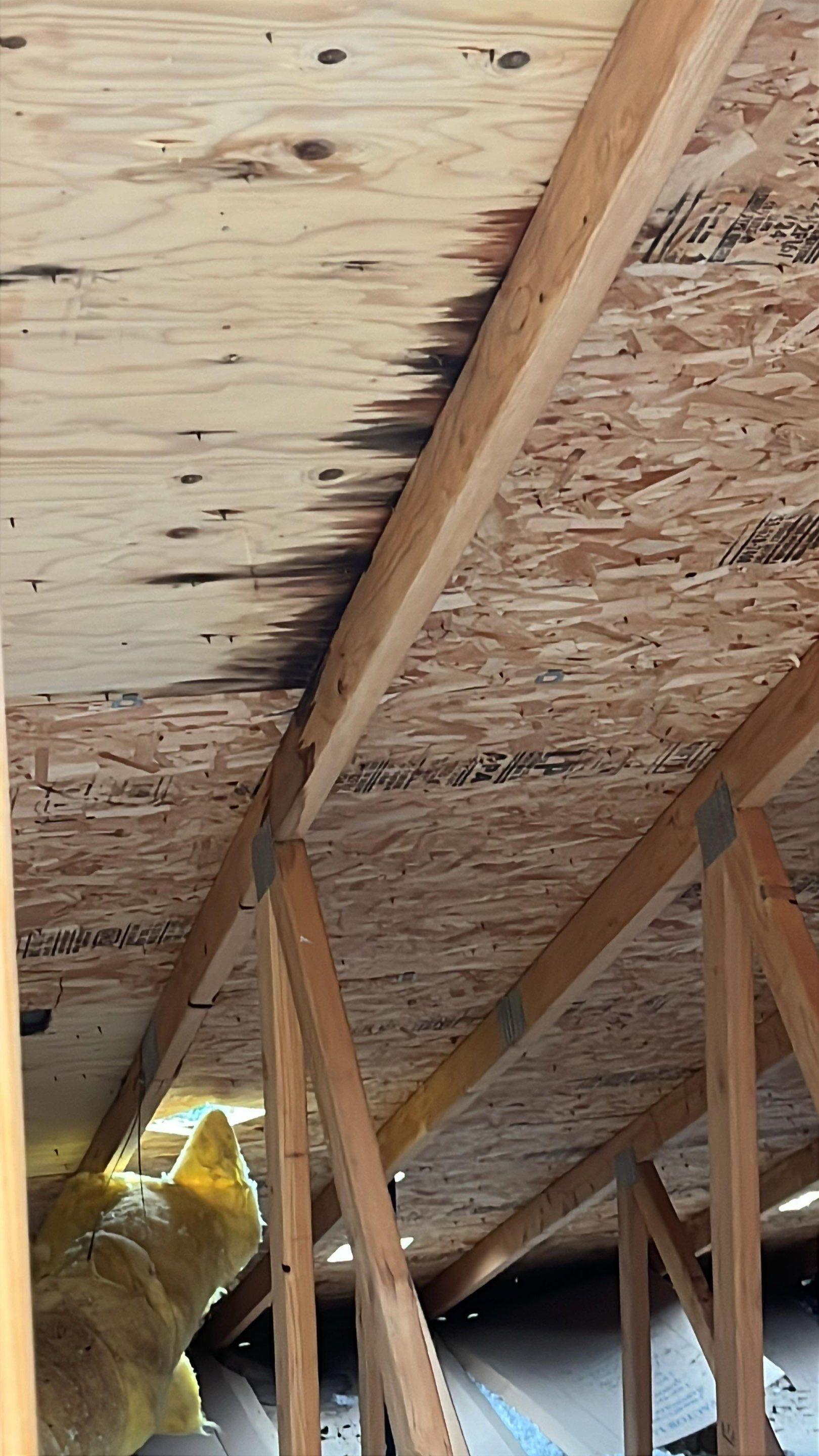 Roof Repair,  by Proline Roofing & Restoration LLC