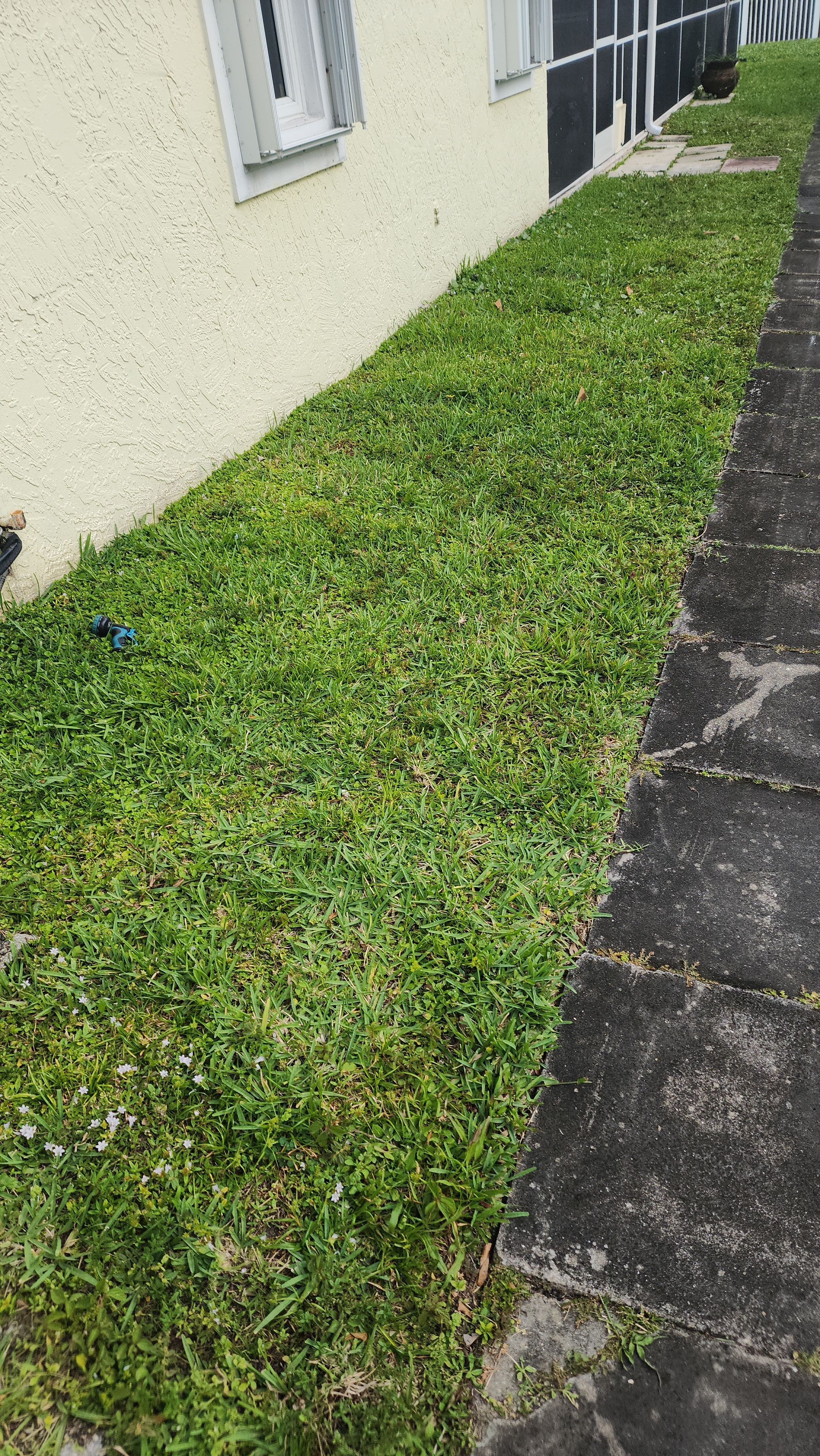 Flat Roof Replacement and Fascia Repair in Margate by Aastro Roofing