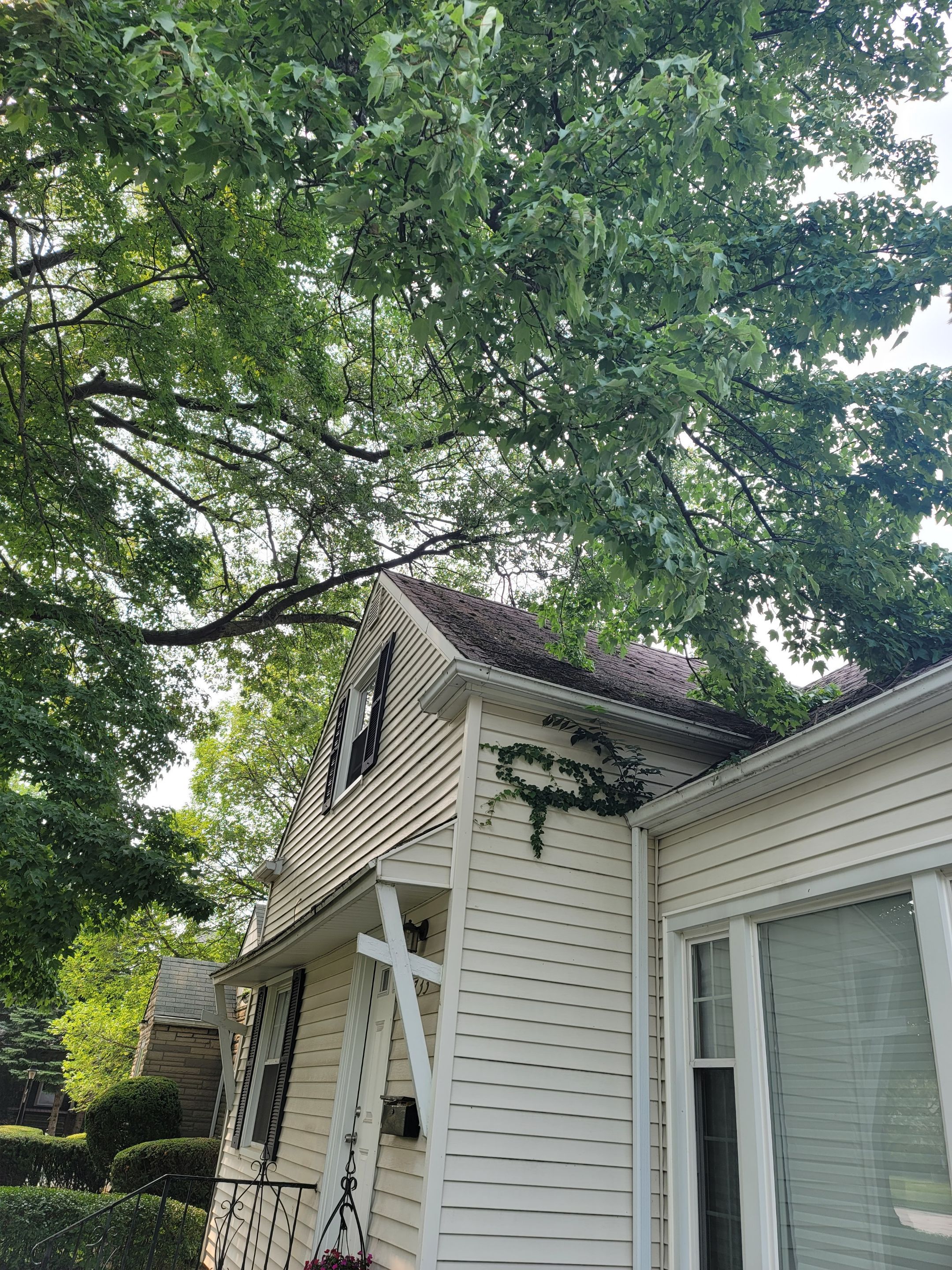 ATLAS PINNACLE COLOR: SCOTCHGARD BLACK SHADOW DRIP EDGE: WHITE by Eagle Eye Roofing