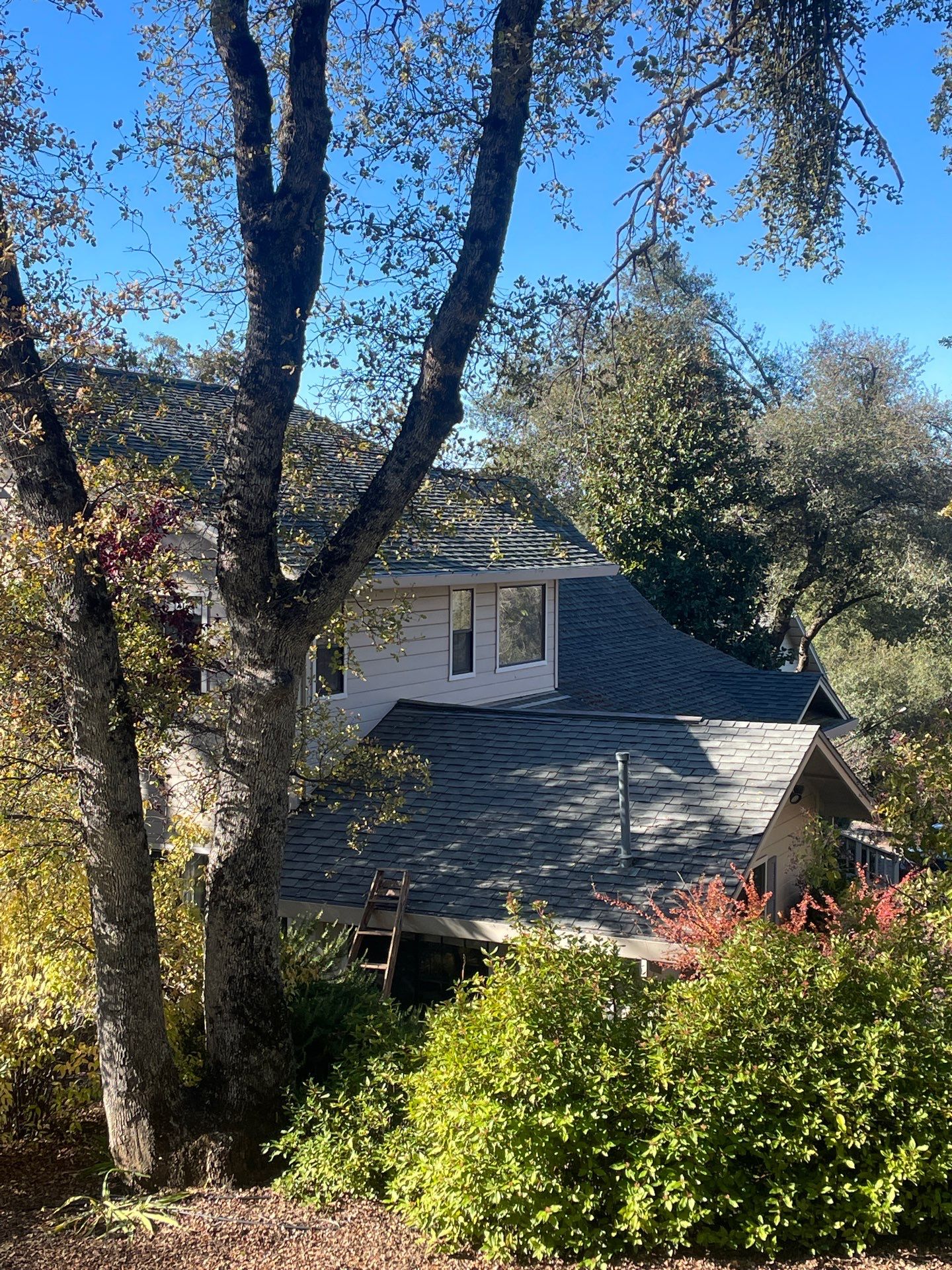 Roof Rejuvenation using Roof Maxx Treatment by Roof Maxx of Folsom