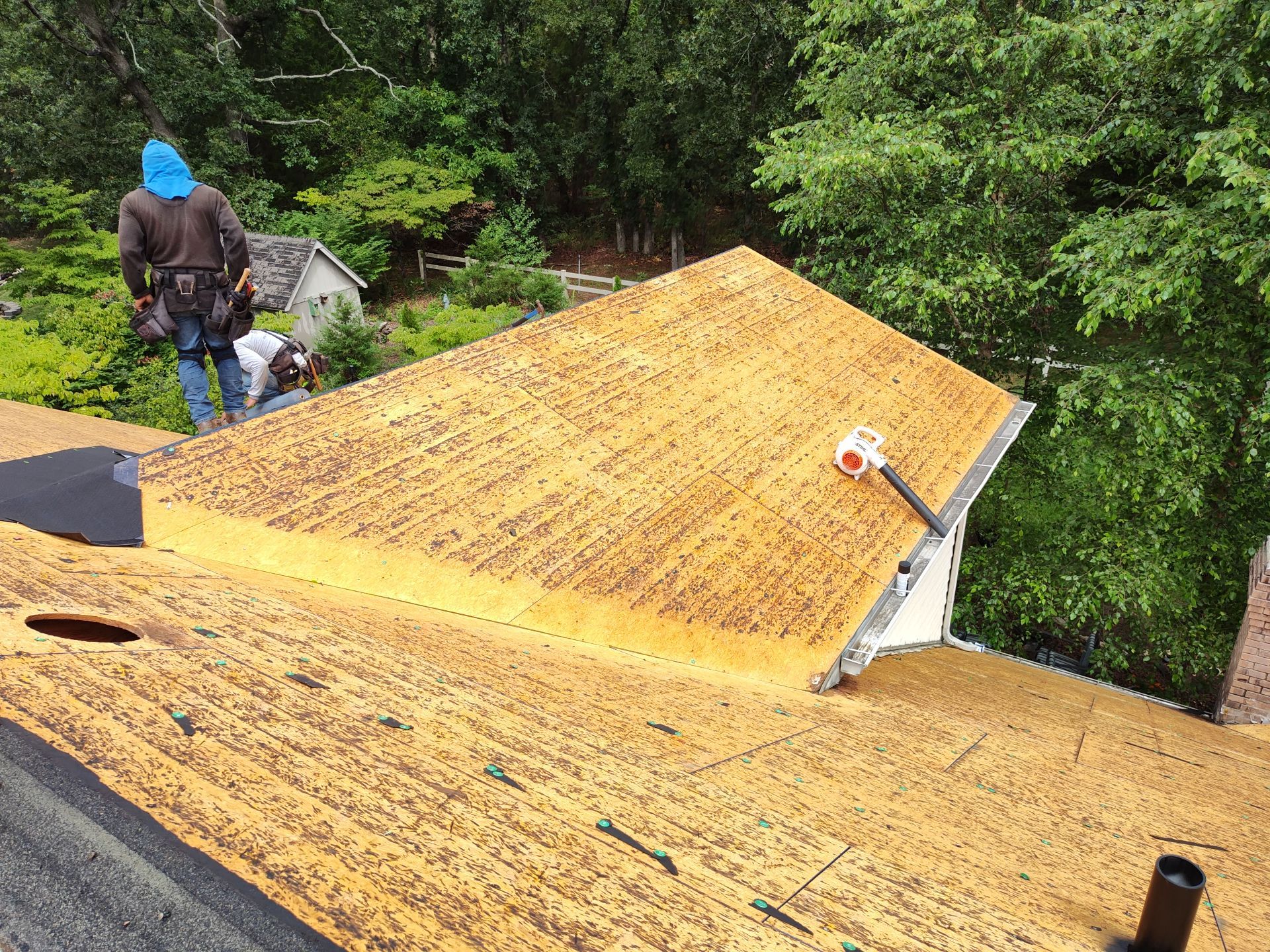 Residential Roof + Gutters & Downspouts & Gutter Guards  by Titan Commercial & Residential Roofing 