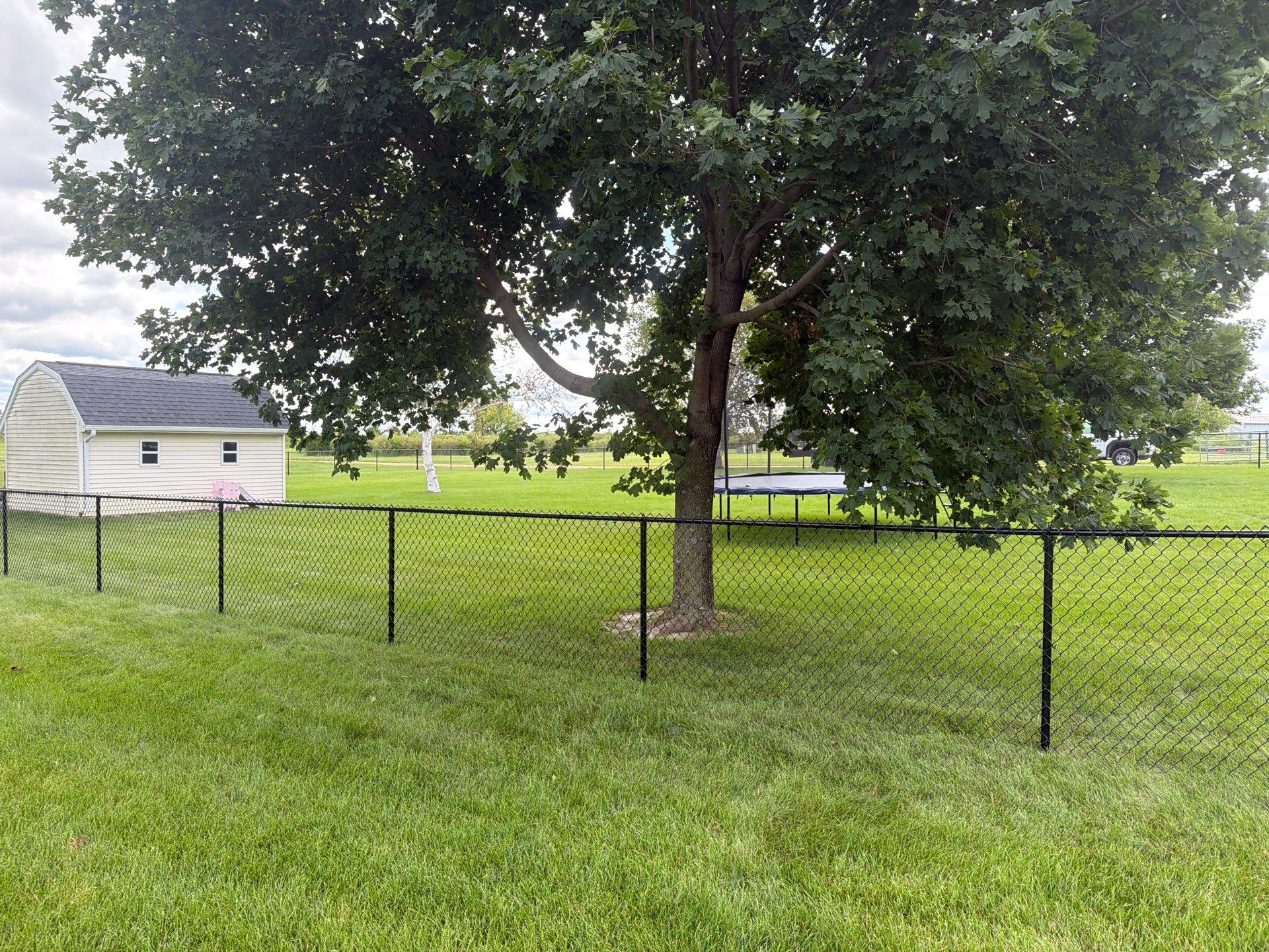 Black Vinyl-Coated Chain Link Fence Installation in Fairbank by Perfect Picket Fence and Stain