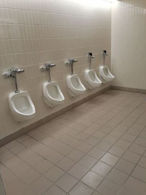 Commercial Restroom Clogs