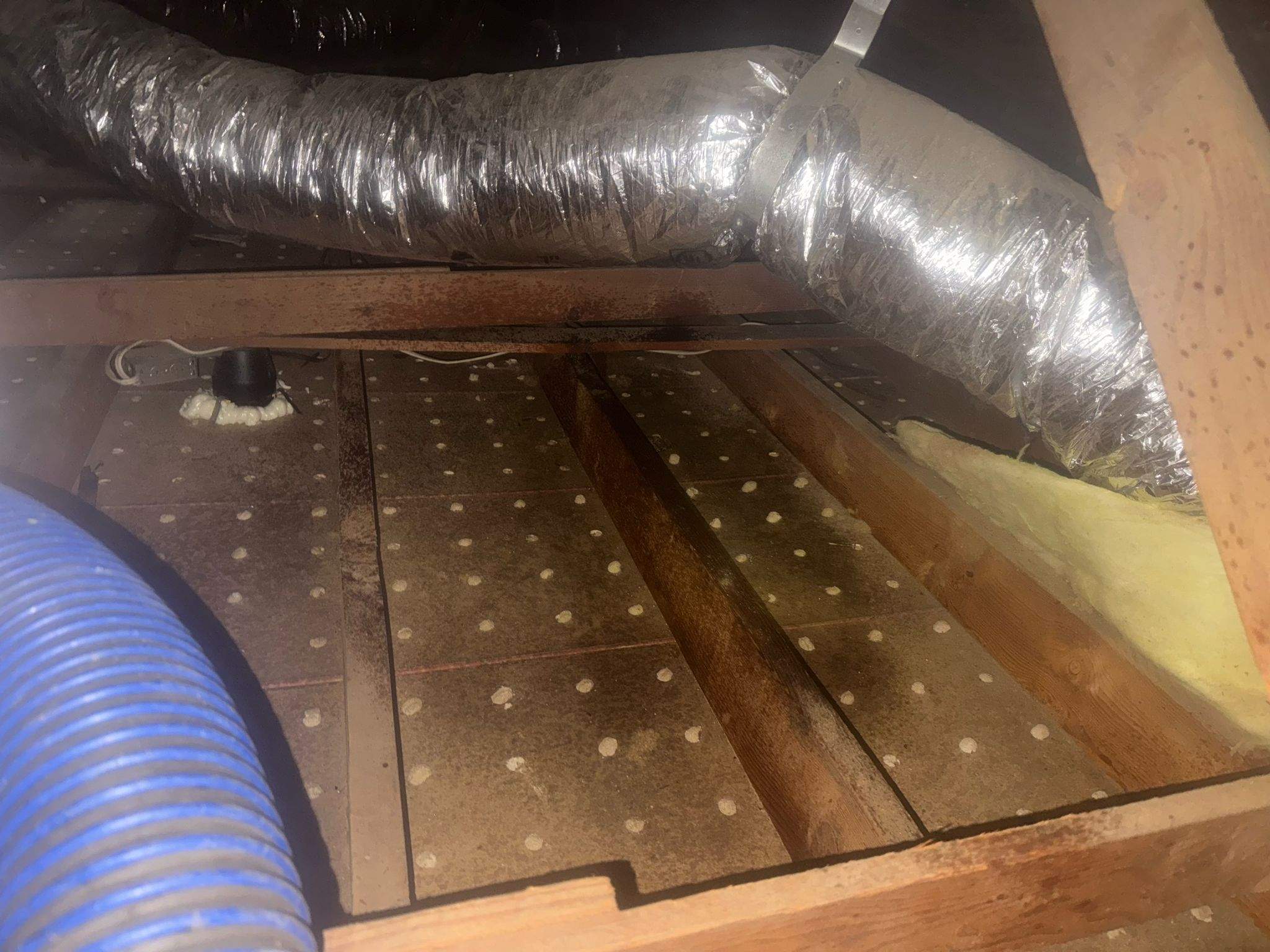 Project in Hastings Ranch Dr by Advanced Attic Solutions