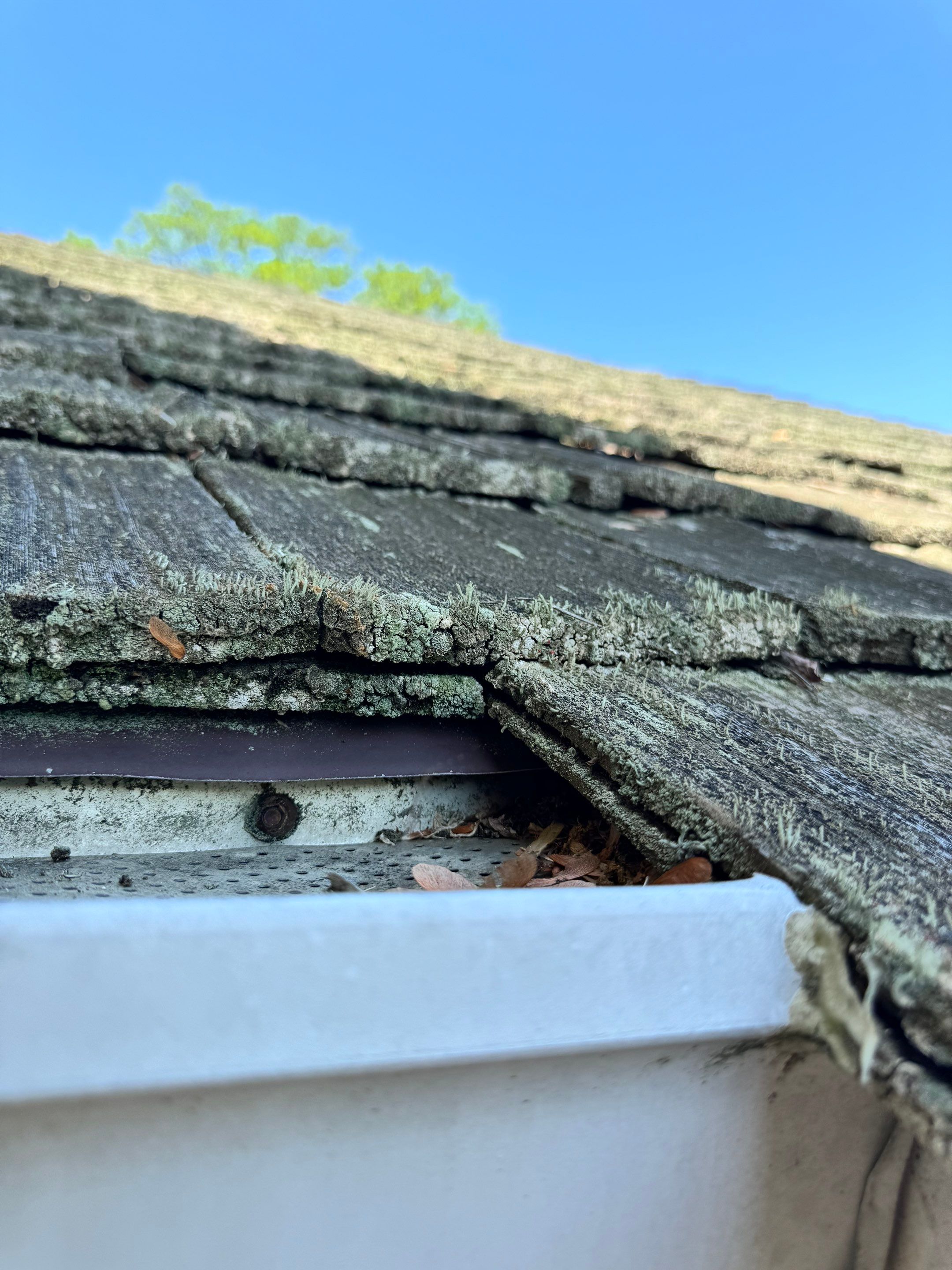 Arlington: CertainTeed Grand Manor Designer Shingles in Weathered Wood by RM Banning, Inc.