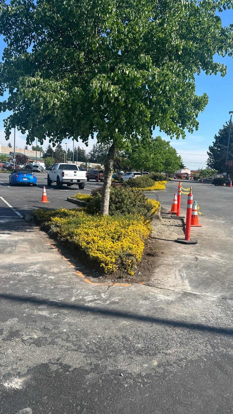 Amanda | Concrete Curb by Jireh Asphalt & Concrete Inc 