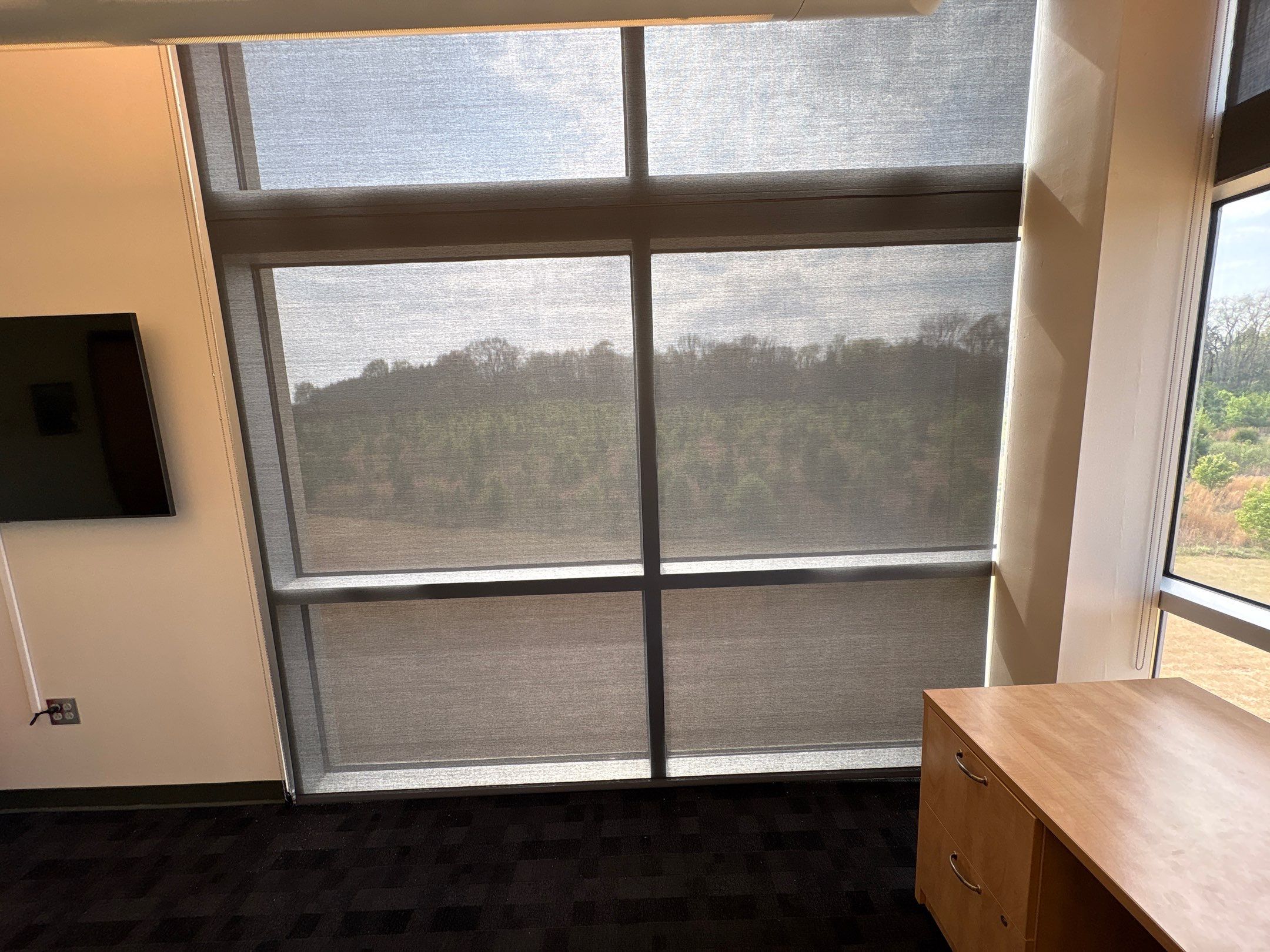 Silver Screen Heat Blocking Shade by Blinds and Borders