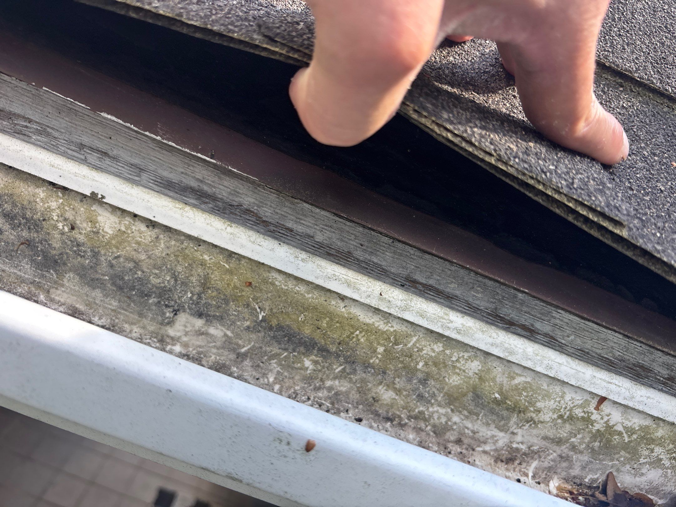 Roof Replacement using Owens Corning Sand Dune by 180 Contractors