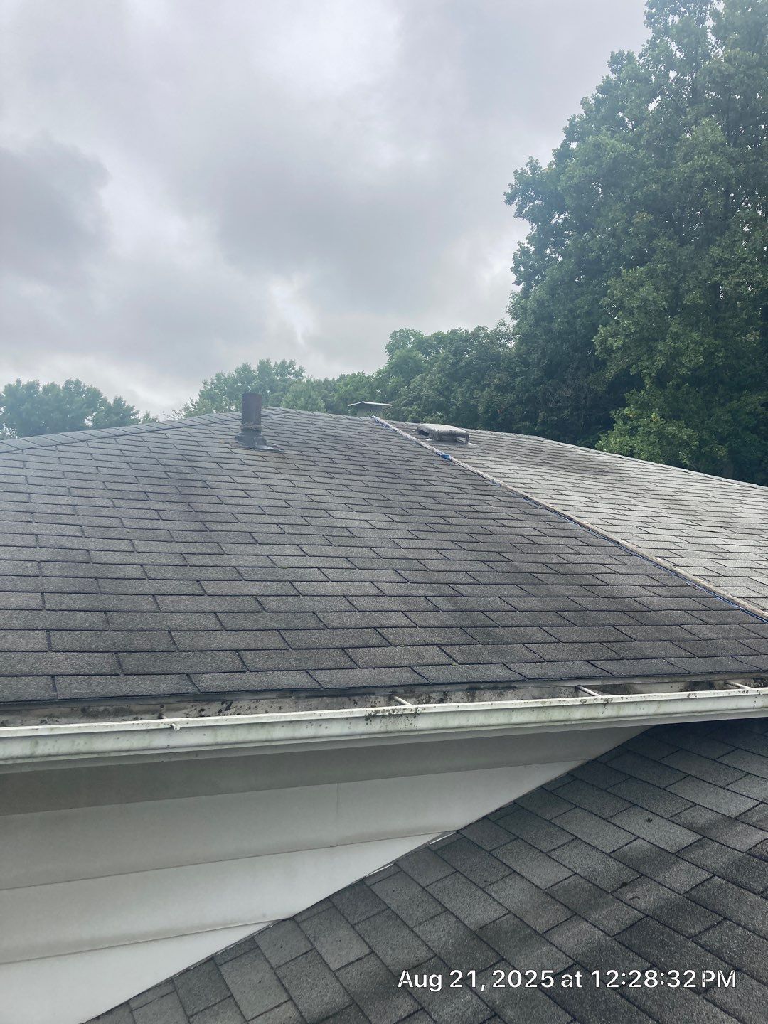 Shingle Roof Replacement by Absolute Roofing and Construction