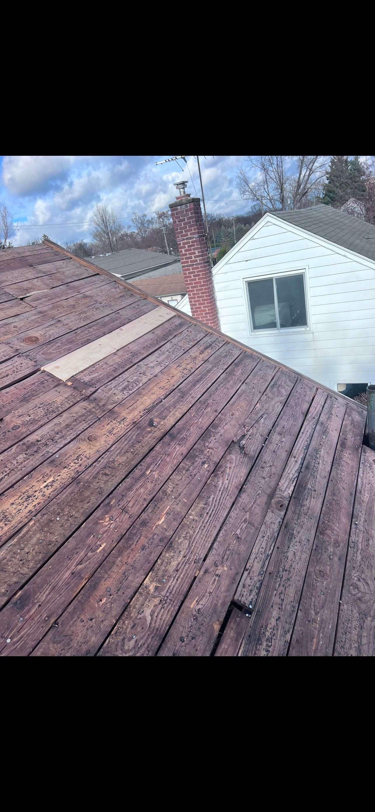 Project in Royal Oak by Eave Roofing