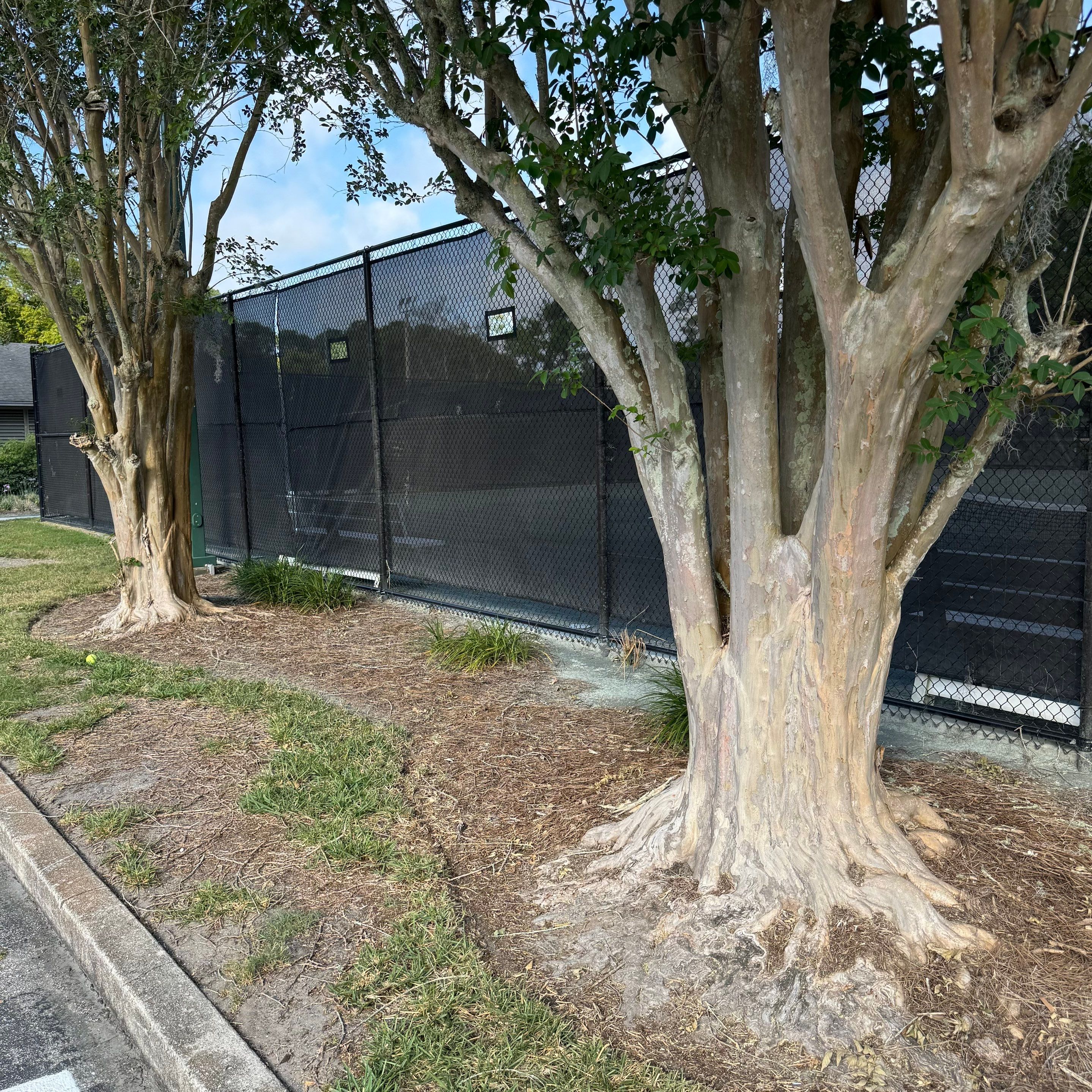Tennis Complex | Deerwood Community by ProGreen Services