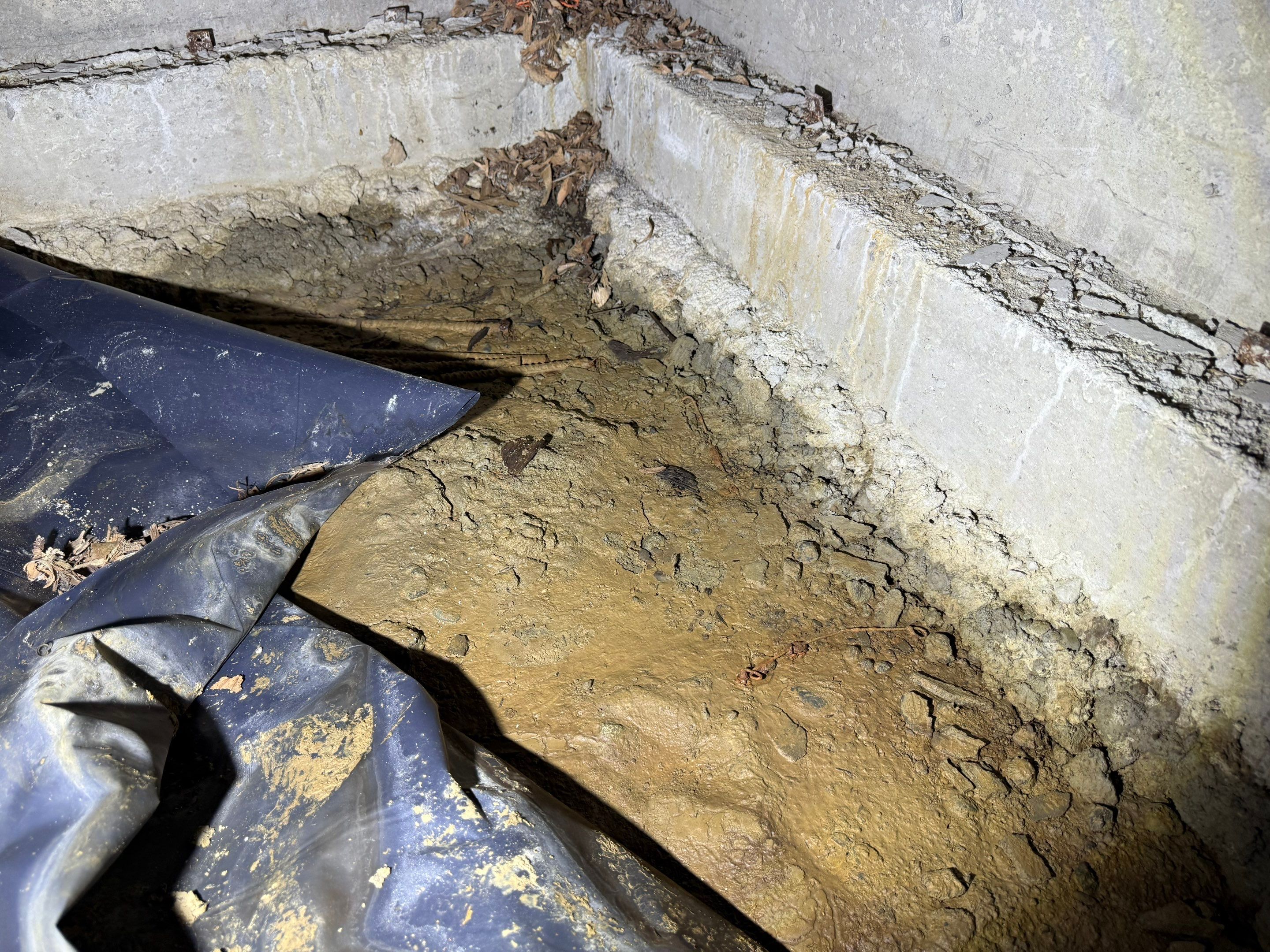 Crawlspace Encapsulation by Hausmeister Home Services INC