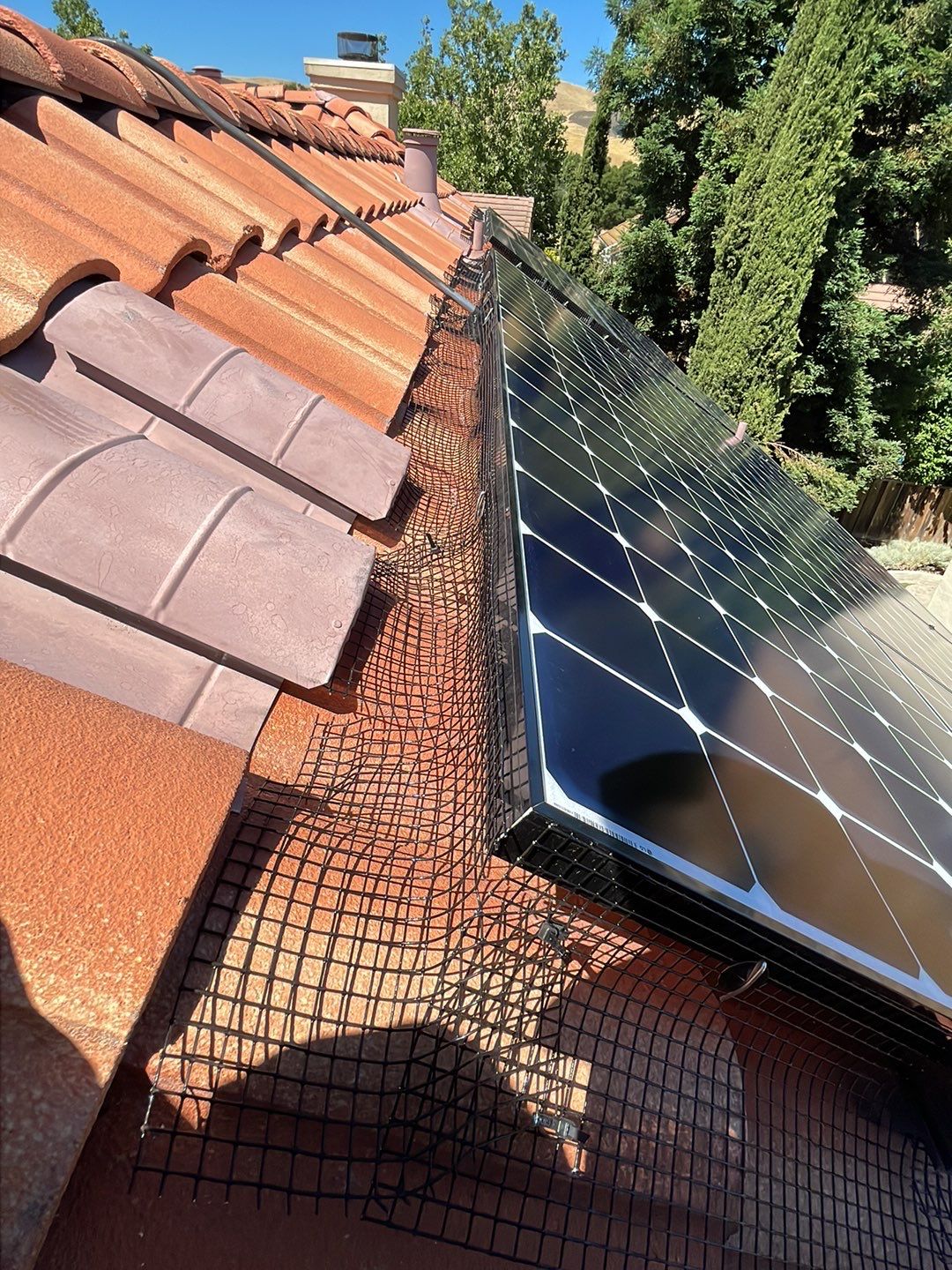 Solar Panel Bird Proofing using Critter Guard Mesh by All One Solar Shine