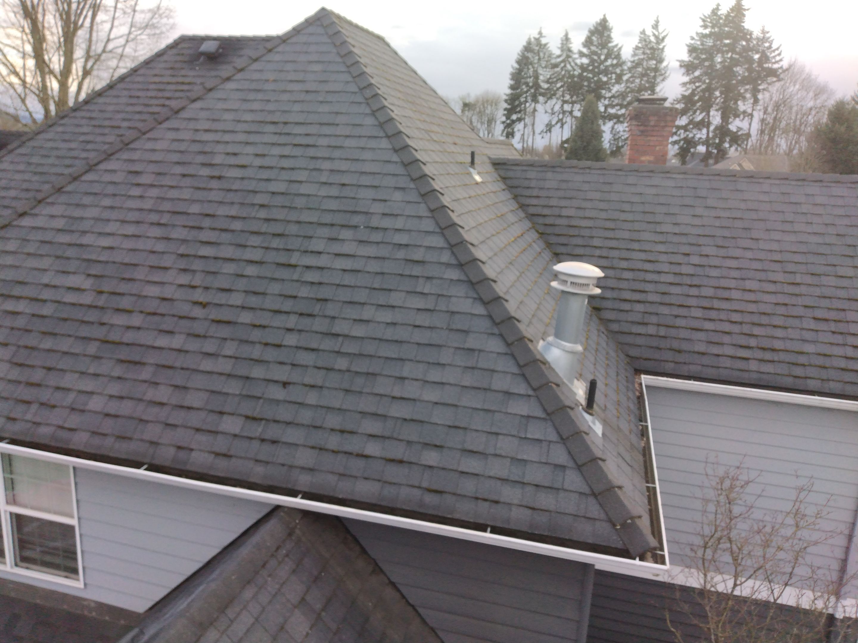 Roof Cleaning  using Moss Treatment  by BEST Roofing & Waterproofing