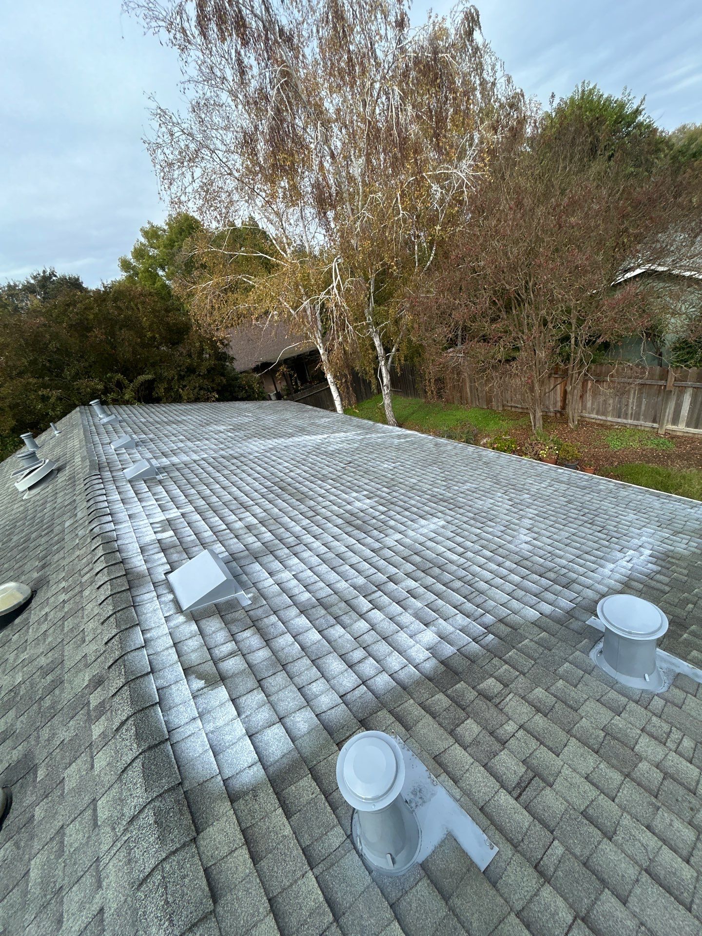 Roof Rejuvenation using Roof Maxx Treatment by Roof Maxx of Folsom