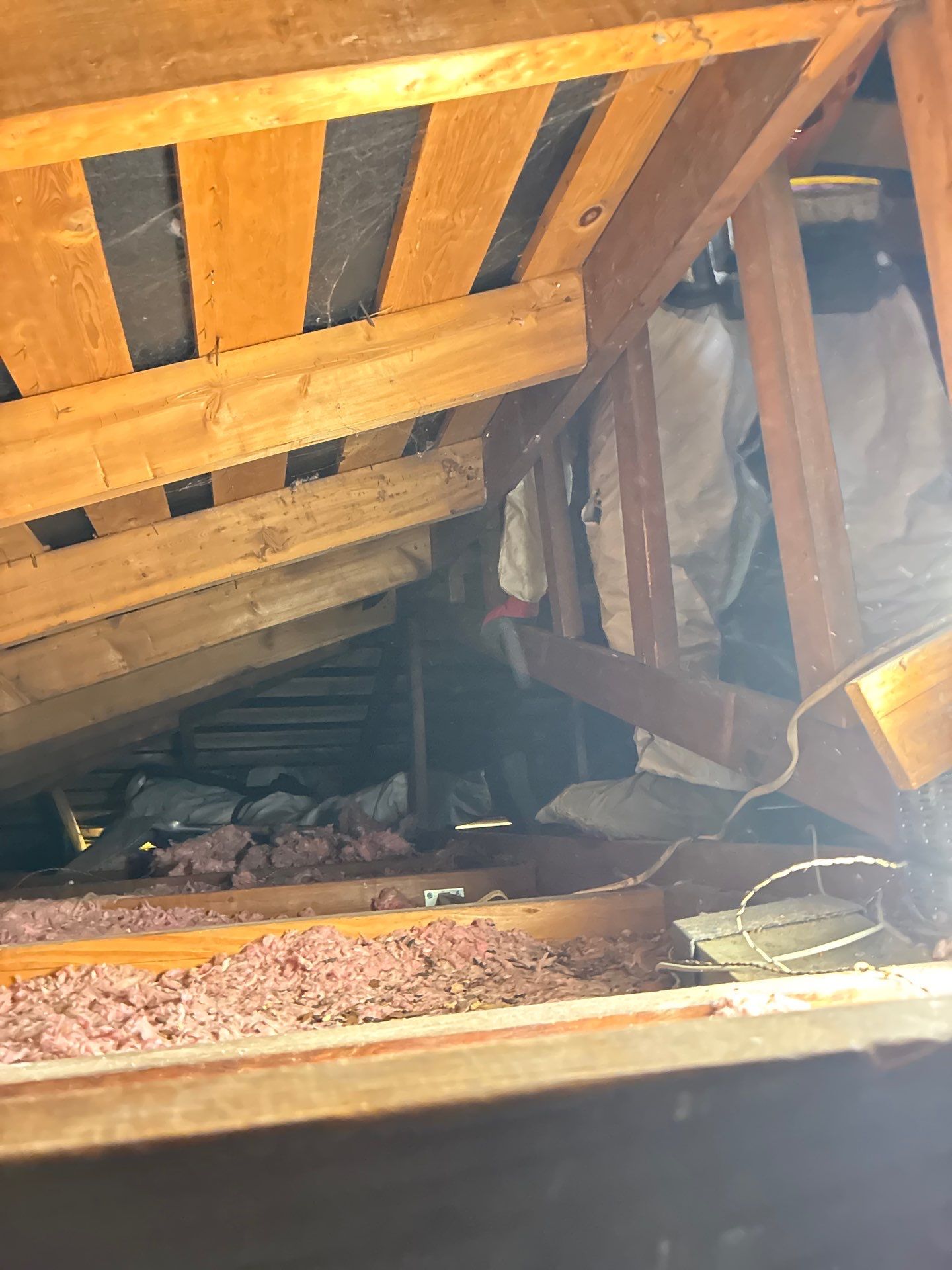 Project in Sacramento by 911 Hazmat Cleanup