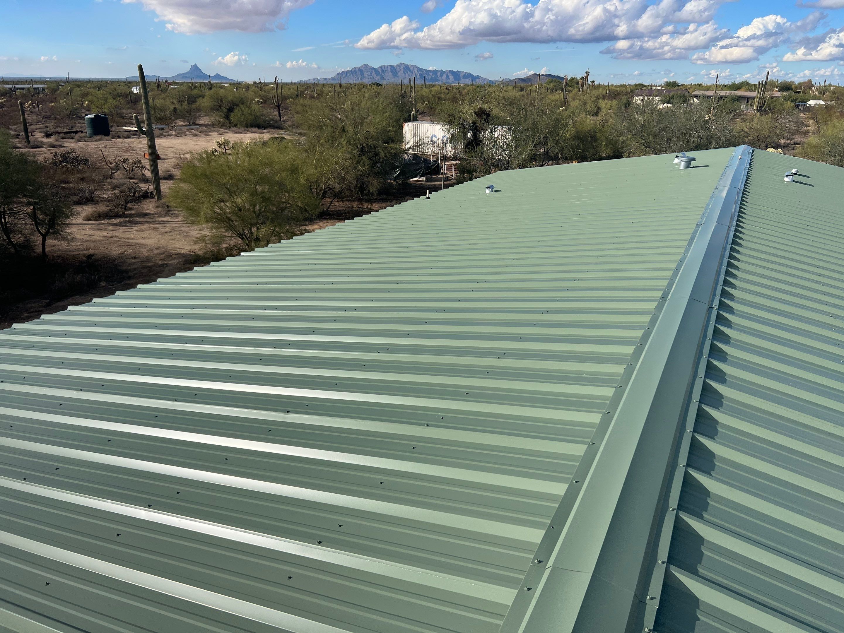 Sage Green Exposed Fastener by Reimagine Roofing