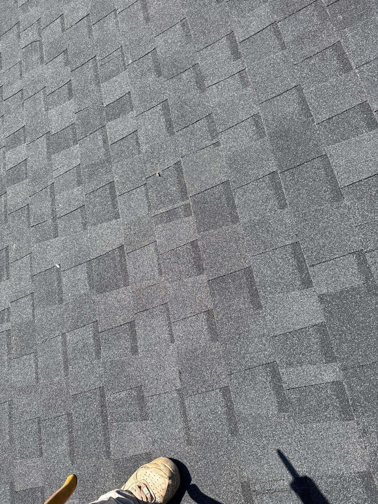 Gainesville: Residential Roof Replacement with CertainTeed Landmark in Moire Black  by RM Banning, Inc.