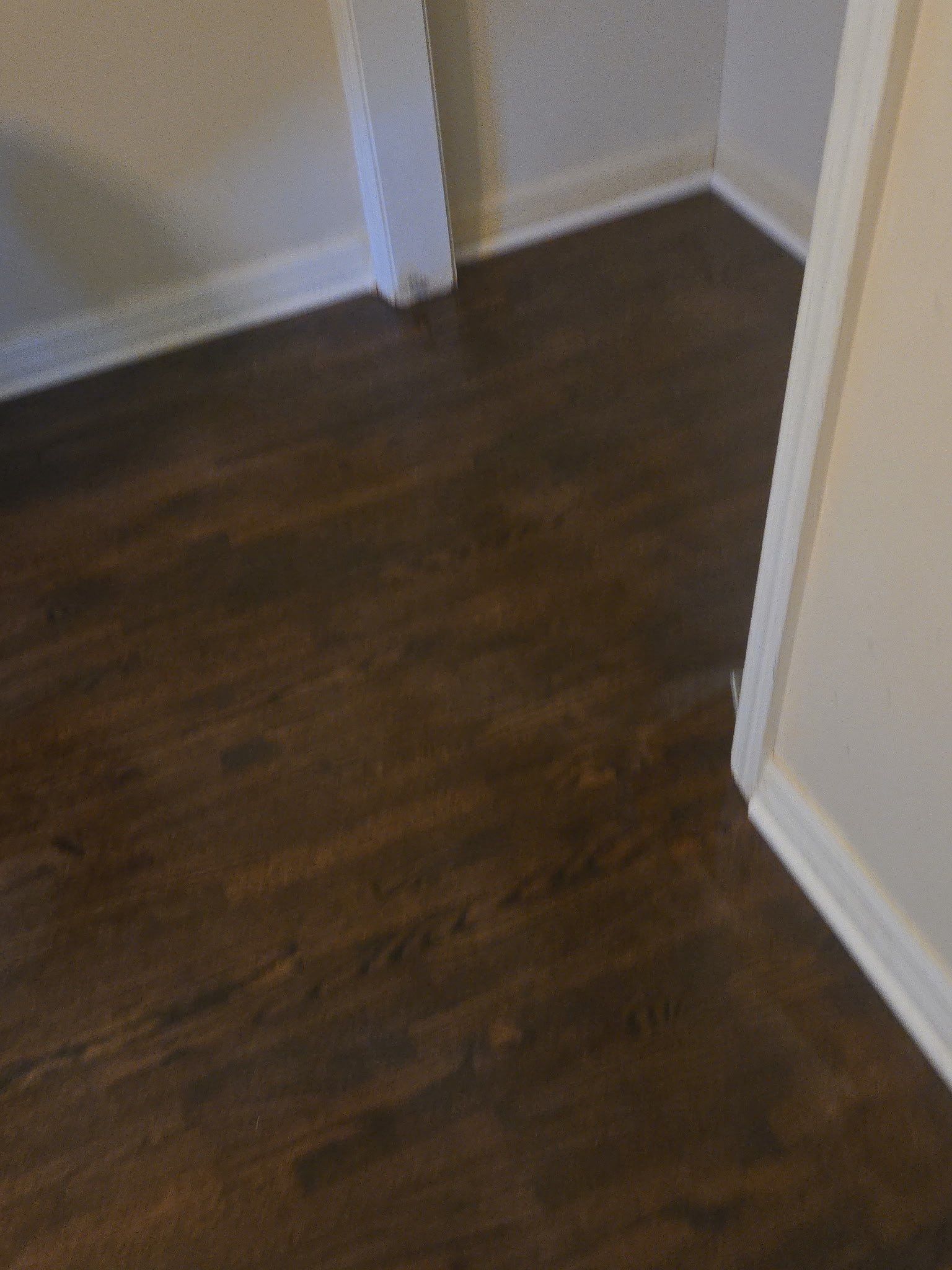 Under Carpet Reveal  by Footprints Floors of Nashville
