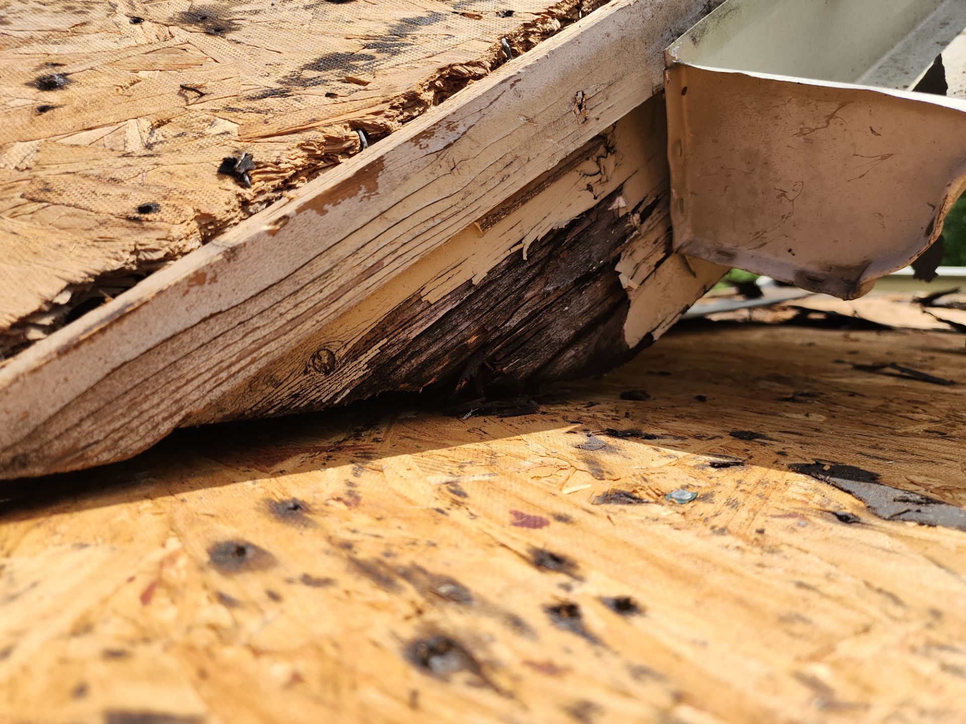 Roof Replacement Houston by Roof Repair Company