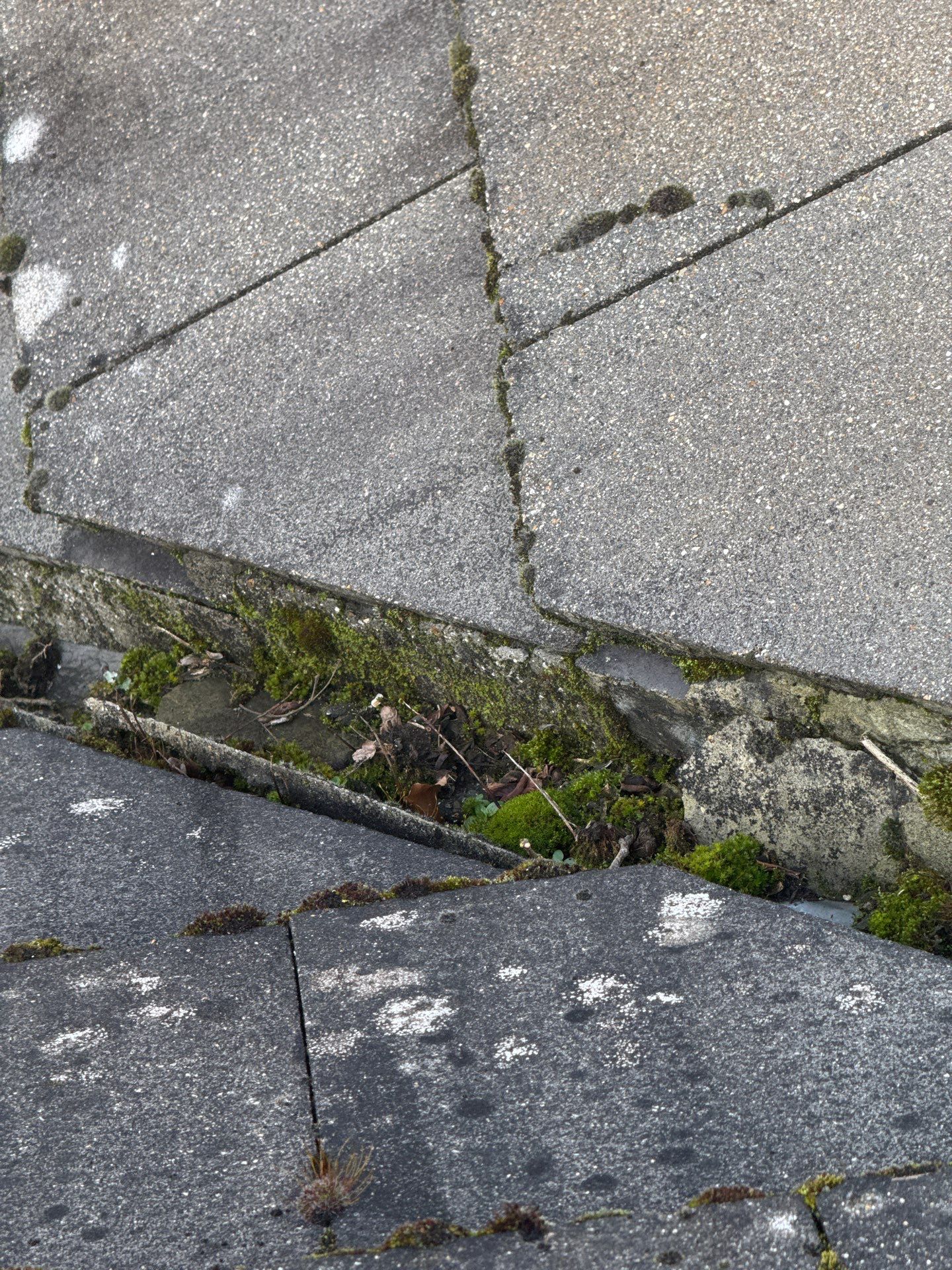 Care Home Roof and Walk Ways clean by Ges Exterior Cleaning ltd