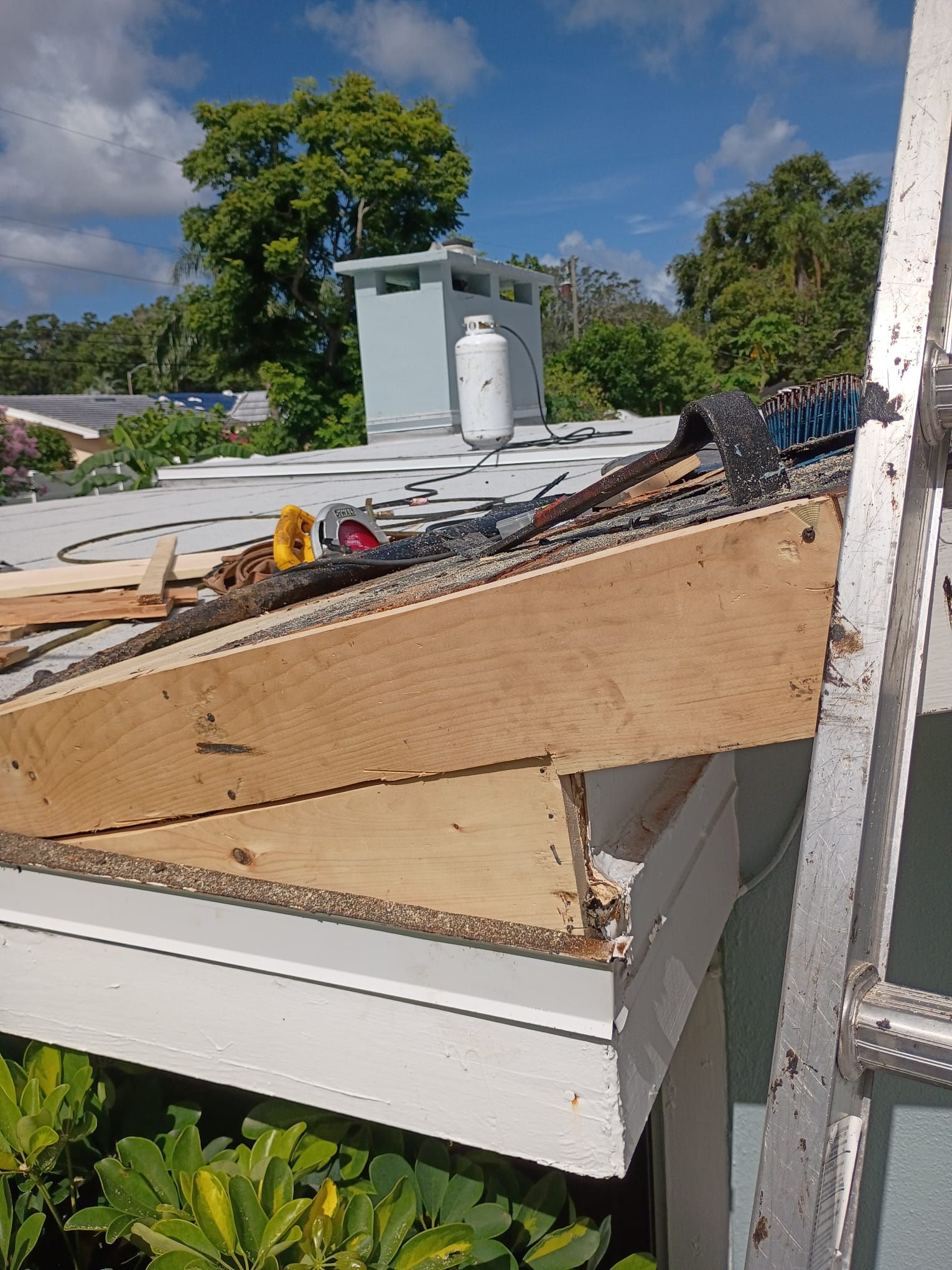 Project in Clearwater 33756 by Mitchell Roofing Company LLC 
