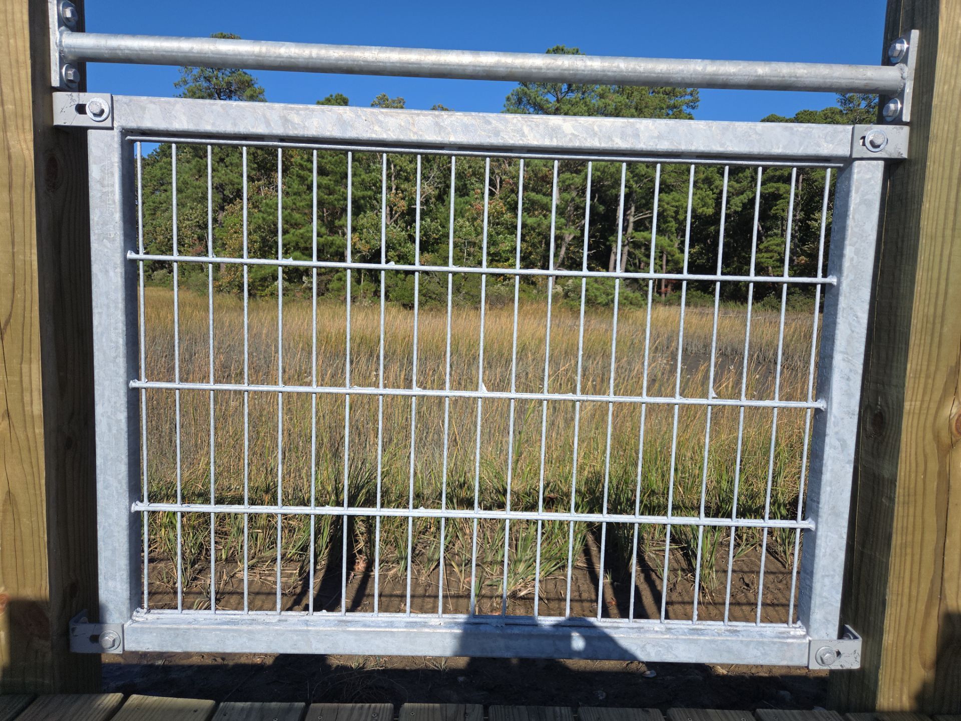 Project in Virginia Beach by Gregory Sandstrom