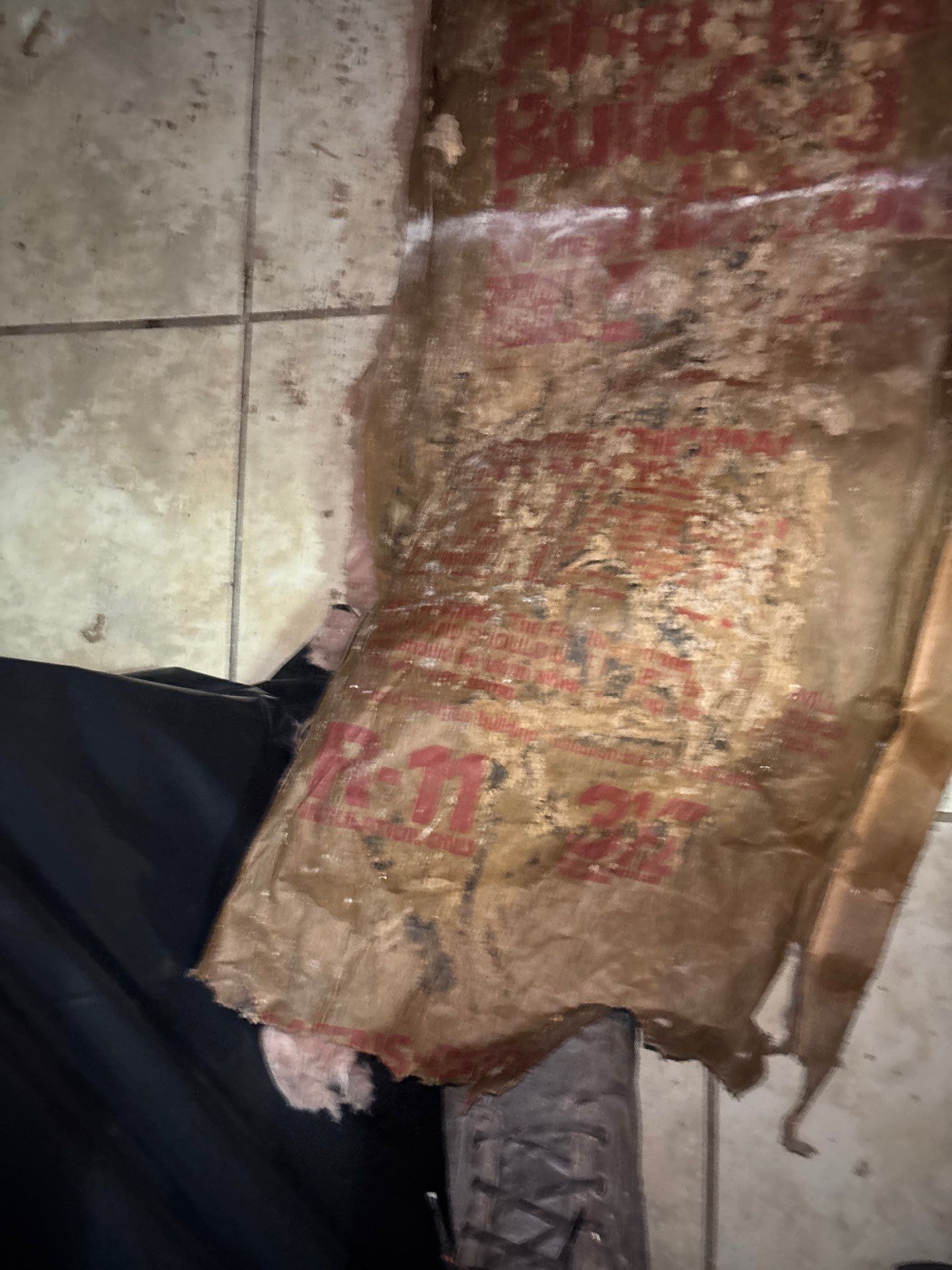 Mold Removal In Sarasota Florida by Ampm Restoration Services