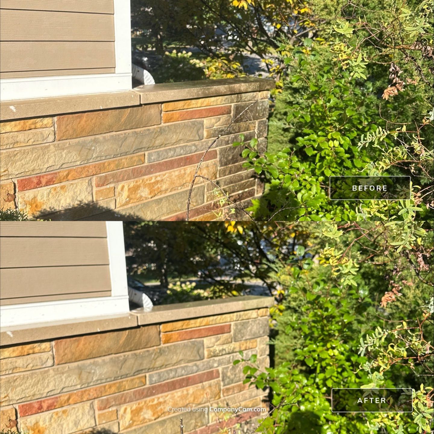 Project in Arlington Heights by Simmons Power & Soft Washing