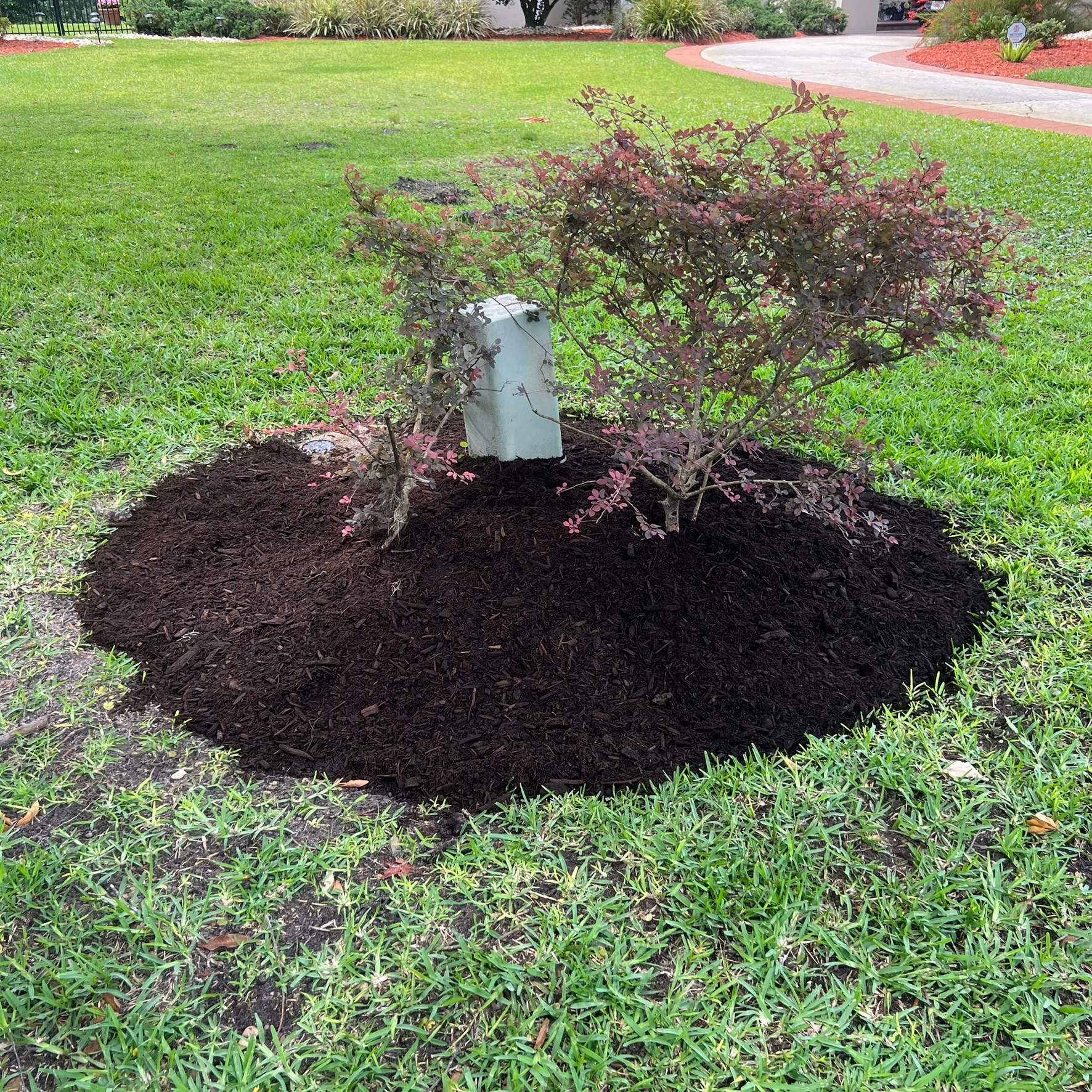 Plant & Mulch Installation | Deerwood Country Club by ProGreen Services