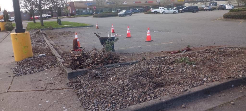 Panda Express | Striping  by Jireh Asphalt & Concrete Inc 