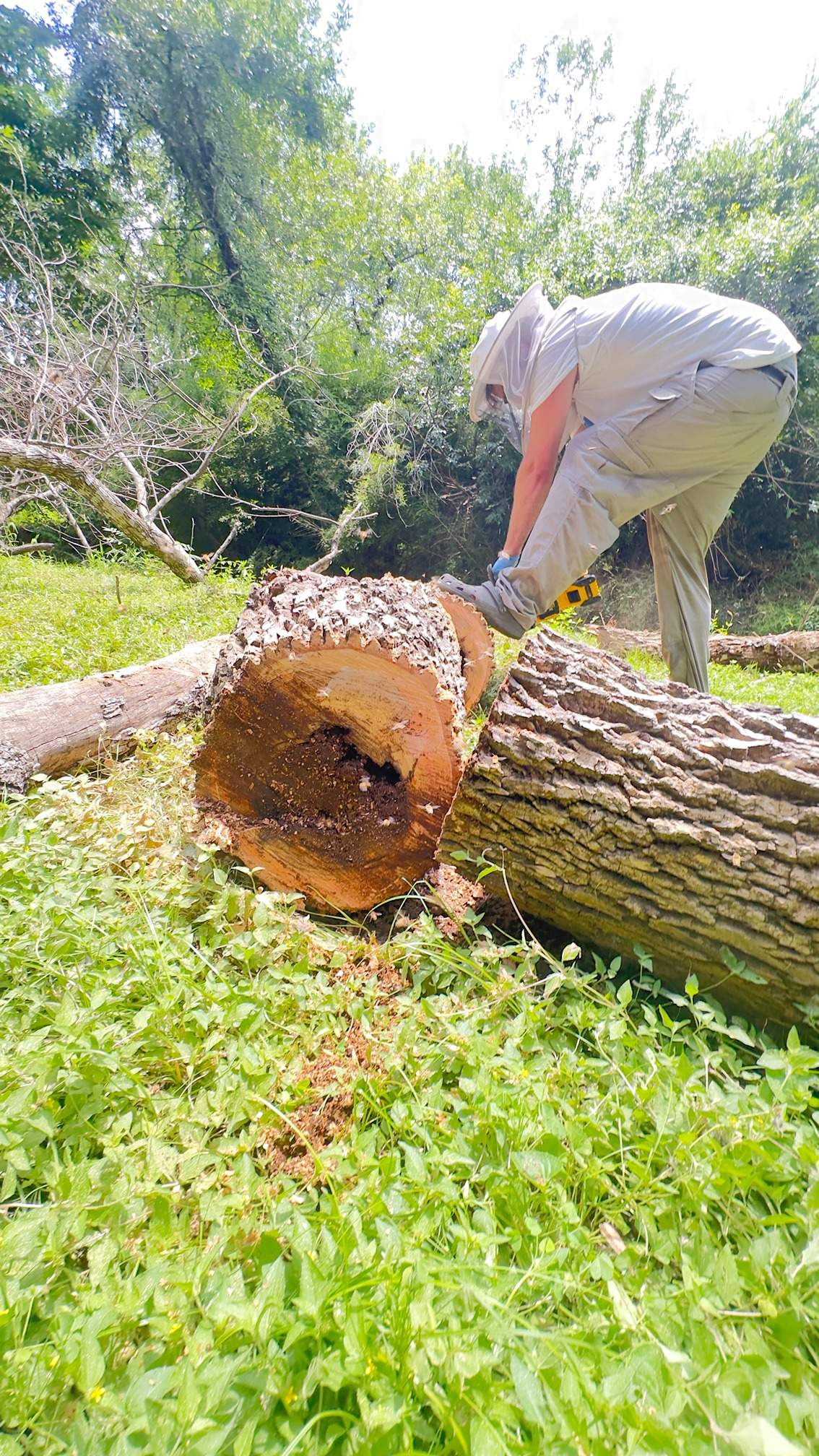 Two Trees One Yard by Rockwall Honey Bee Company