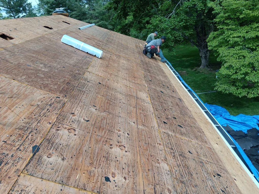 Residential Roof Replacement and Sheathing Repair in Frederick by Frederick Roof Repair