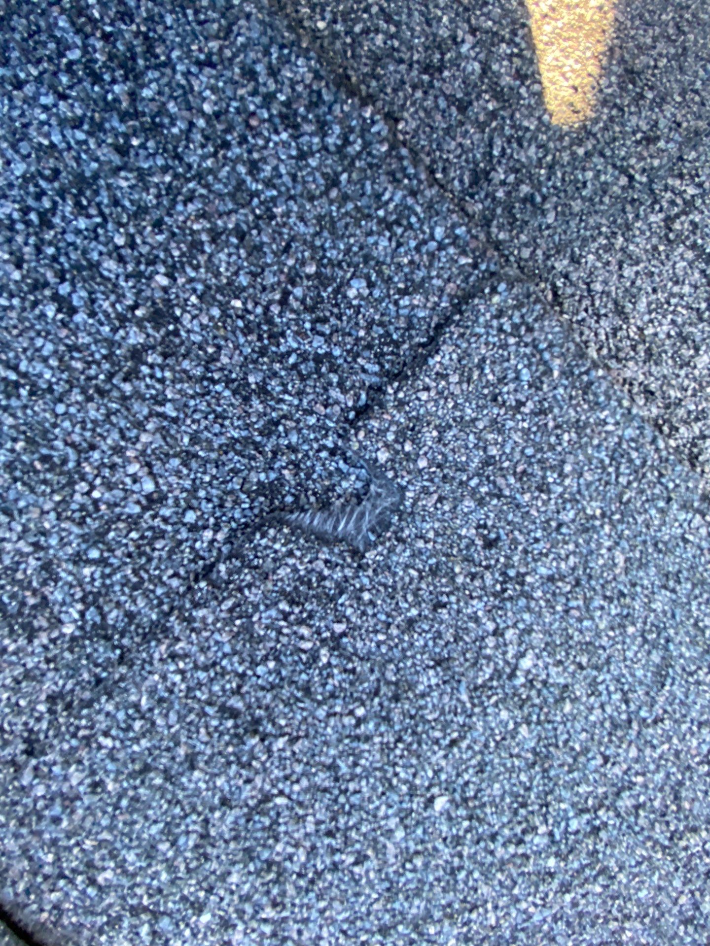 Roofing | Littleton by Mighty Dog Roofing of Greater Middlesex County