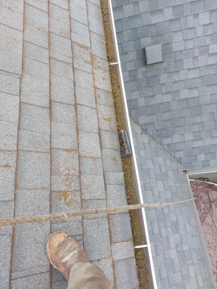 Roof Cleaning  using Moss Treatment  by BEST Roofing & Waterproofing