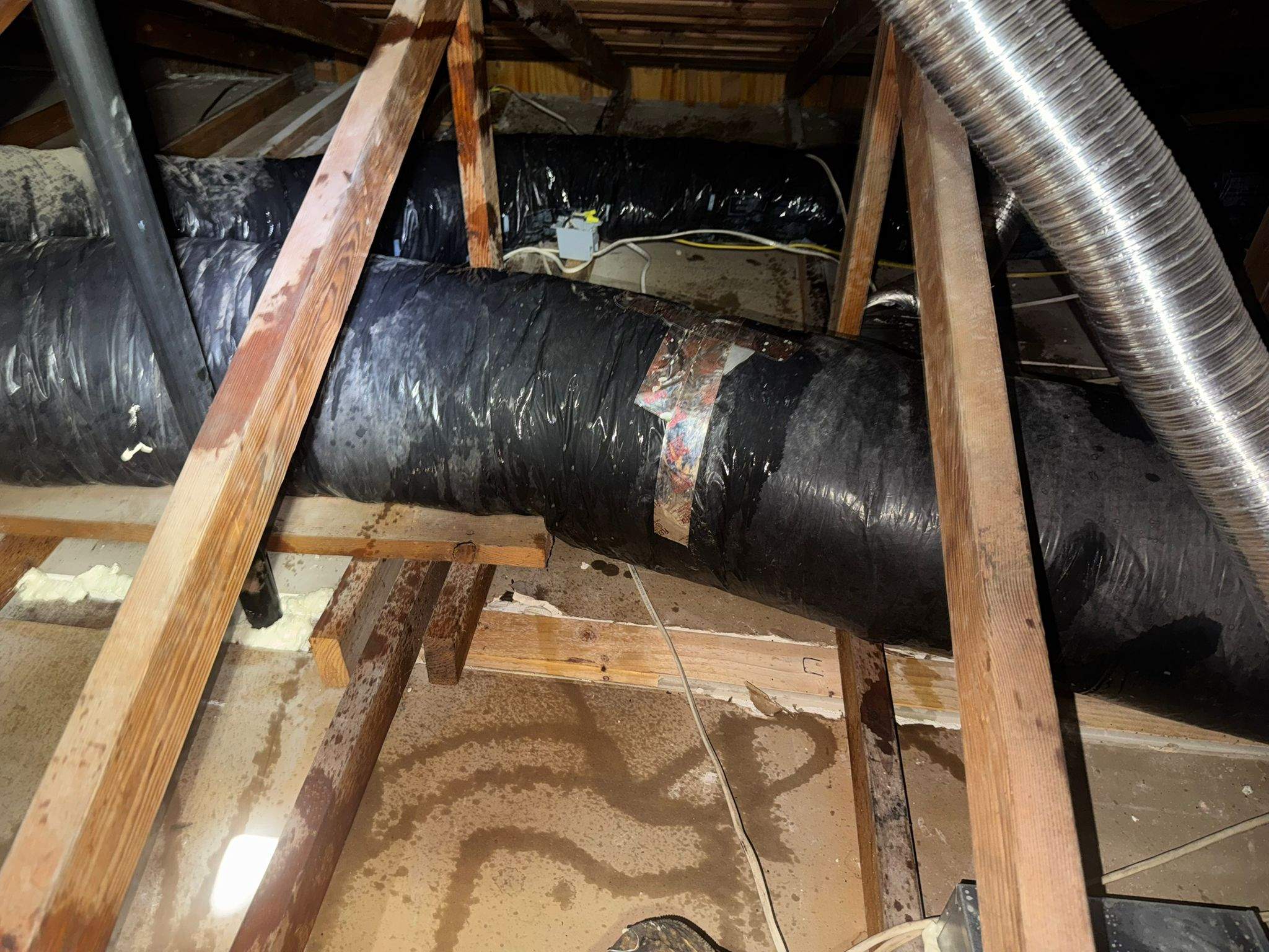 Project by Advanced Attic Solutions by Advanced Attic Solutions