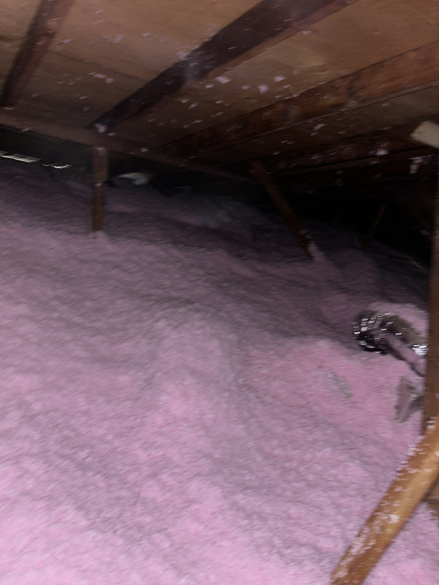 Investor Rental Make-Ready 1 by JTX Pro Services LLC