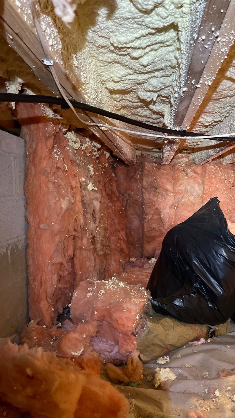 Crawl Space Work and Encapsulation by Toledo Basement Repair